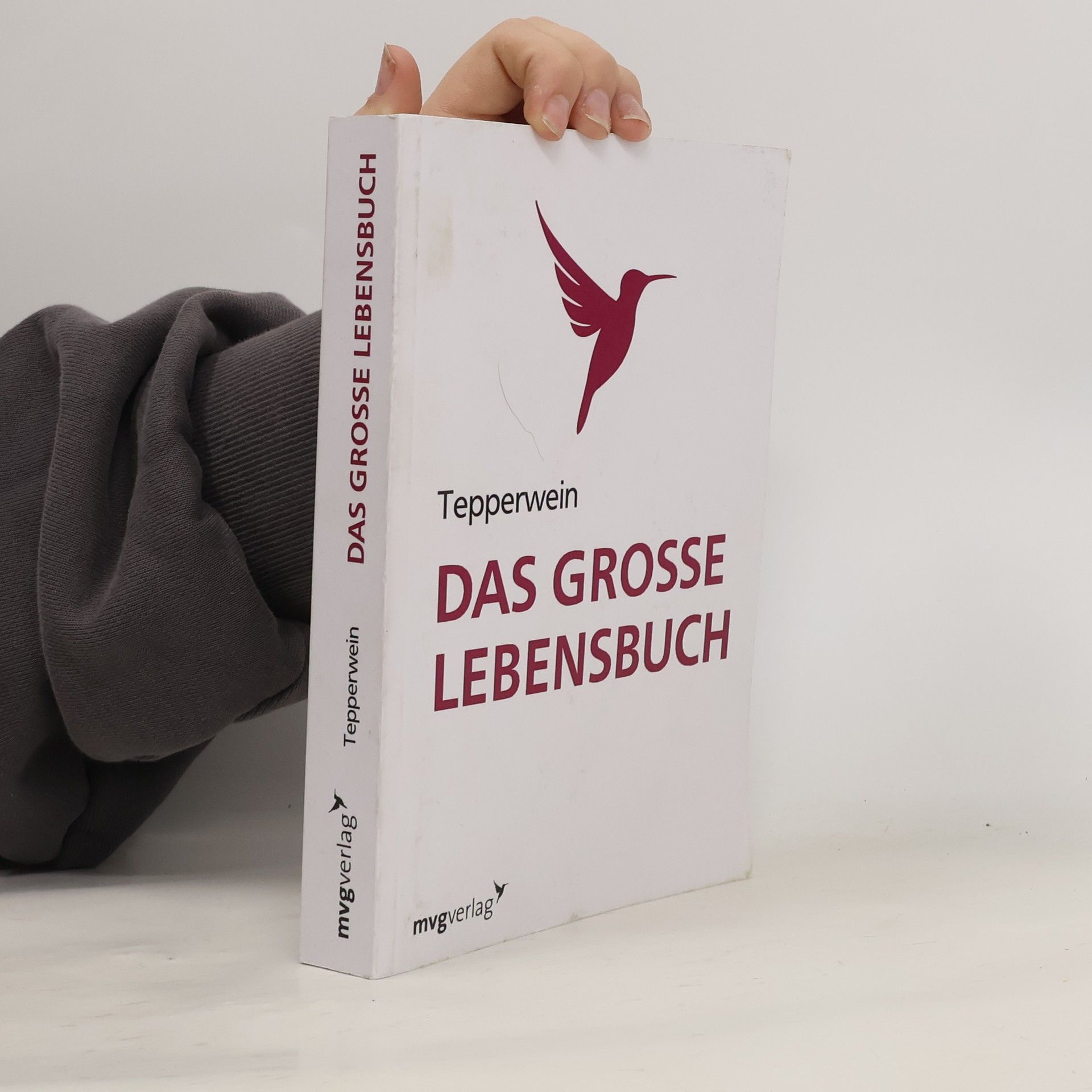 Kurt Tepperwein Das große Lebensbuch