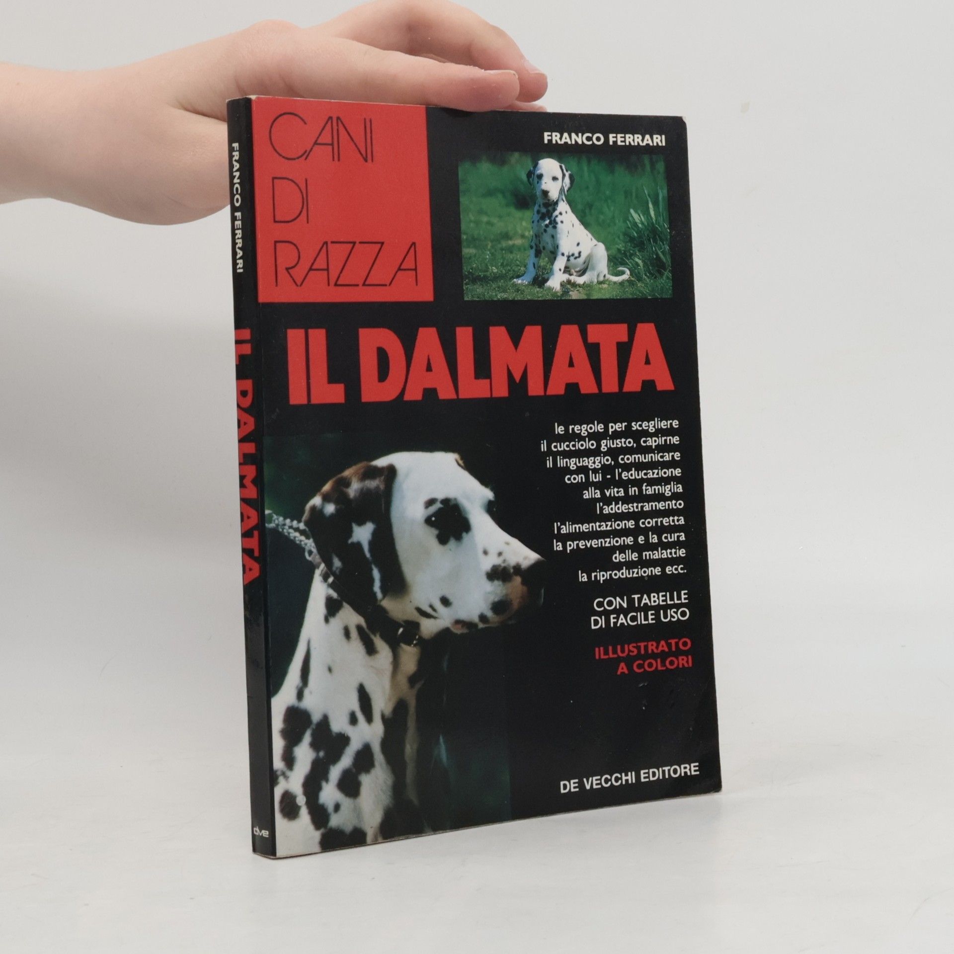 Il Dalmata