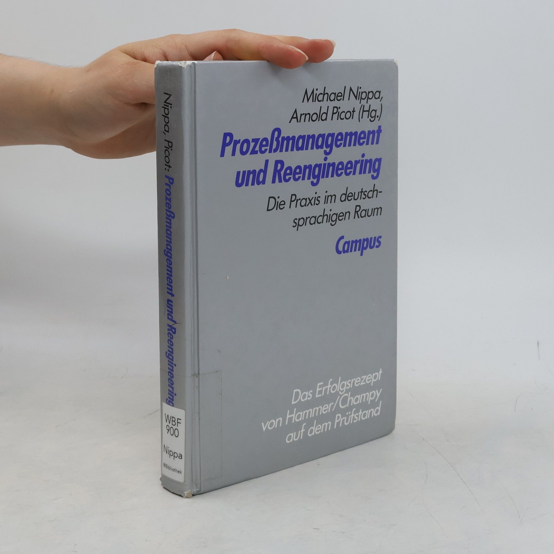 Michael Nippa Prozessmanagement und Reengineering