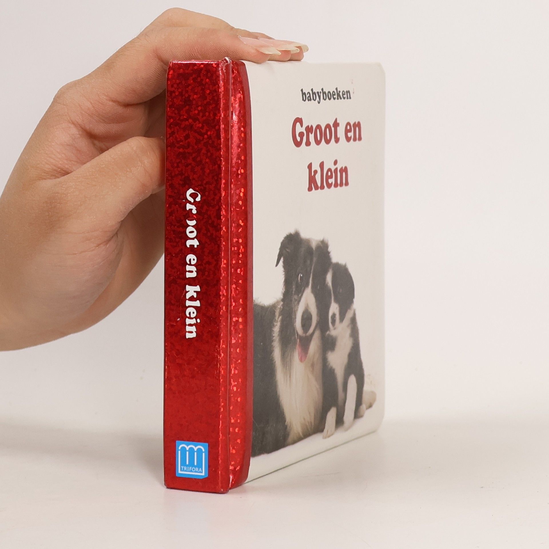 Autorenkollektiv Groot en klein