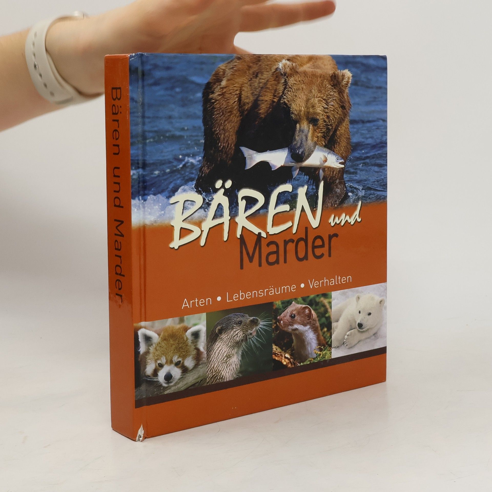 Autorenkollektiv Bären und Marder. Arten. Lebensräume. Verhalen