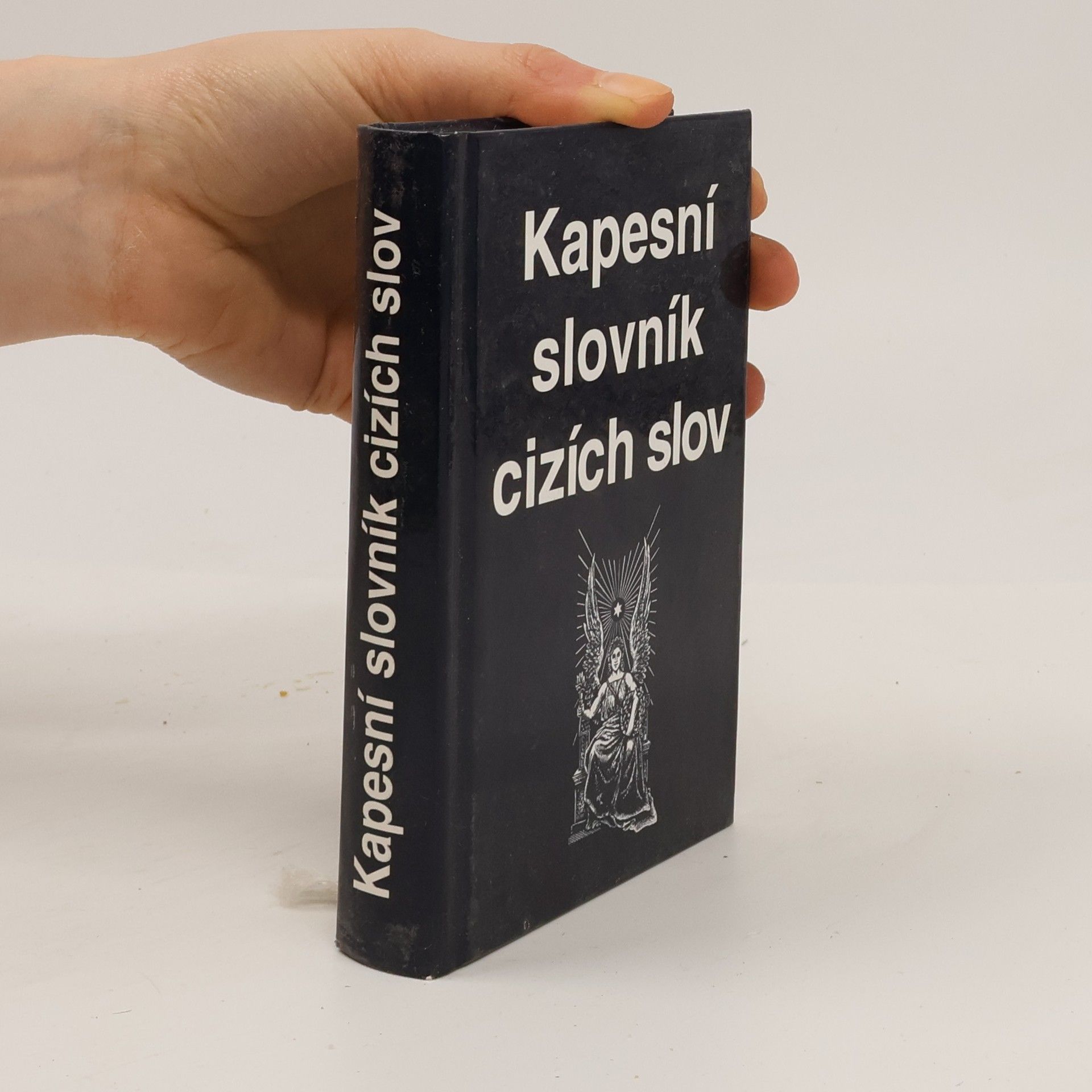 Kolektiv autorů Kapesní slovník cizích slov