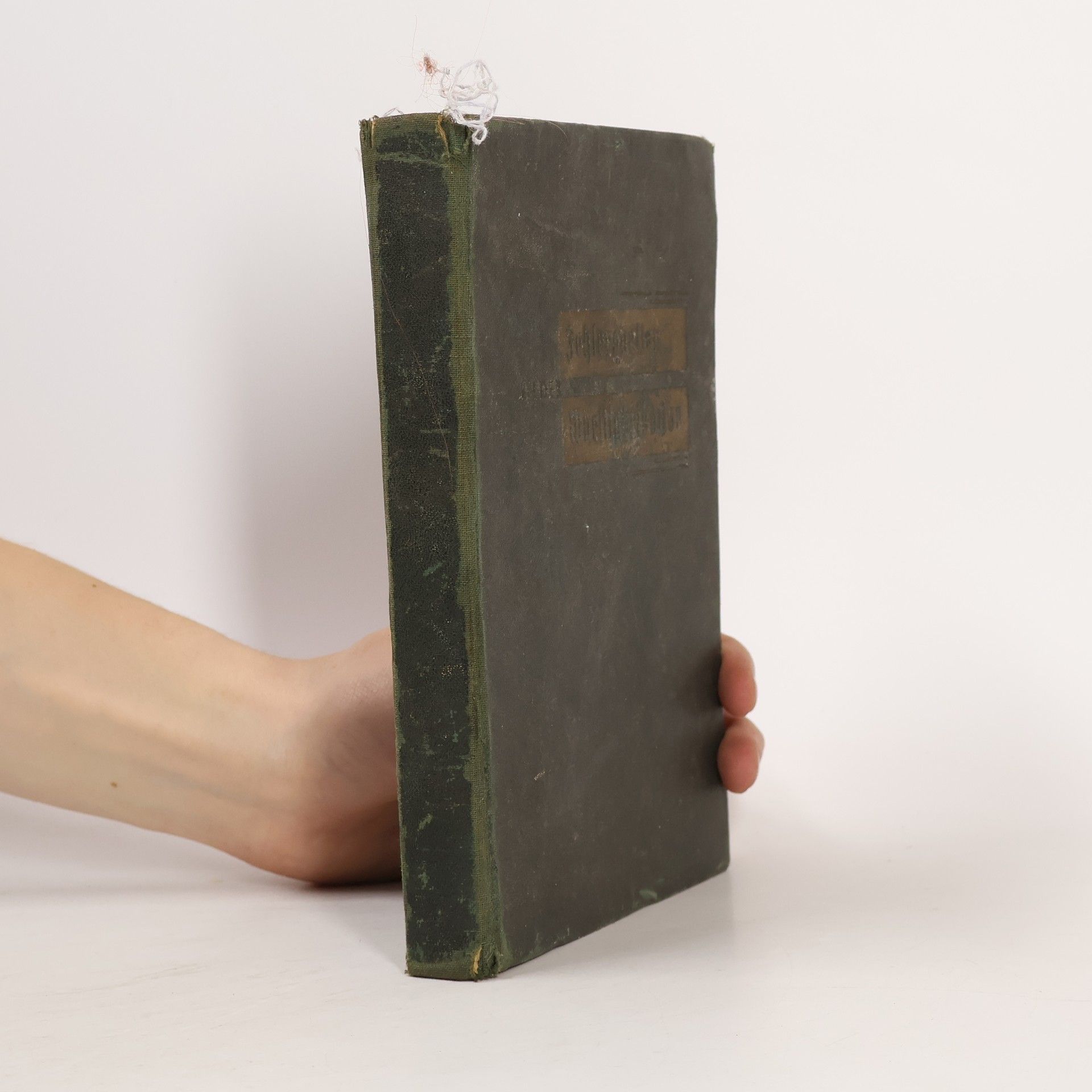 Kolektiv autorů Fehlerquellen in der Wurstfabrikation Ein Handbuch für die Praxis