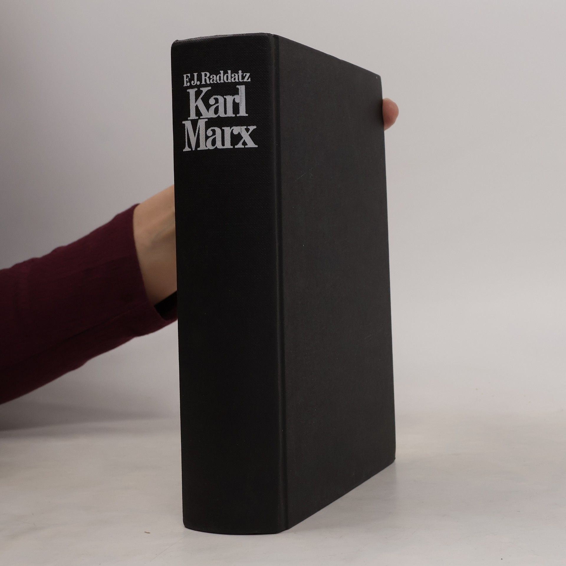 Fritz J. Raddatz Karl Marx