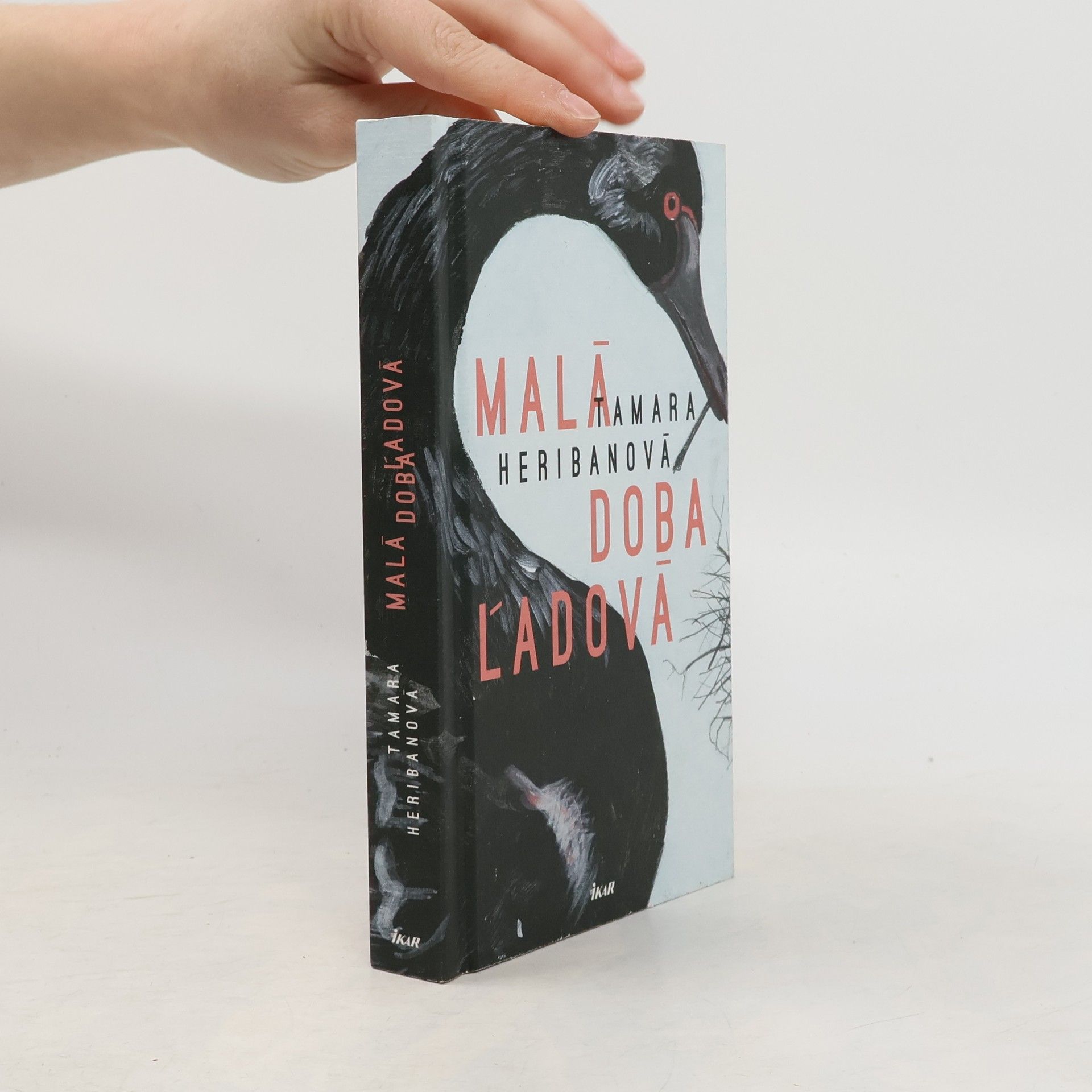 Tamara Heribanová Malá doba ľadová