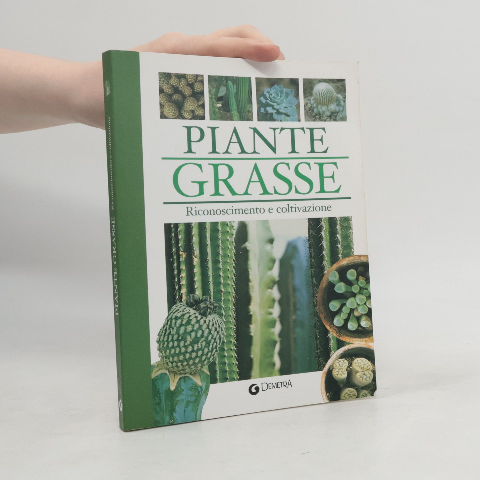 Autorenkollektiv Piante grasse