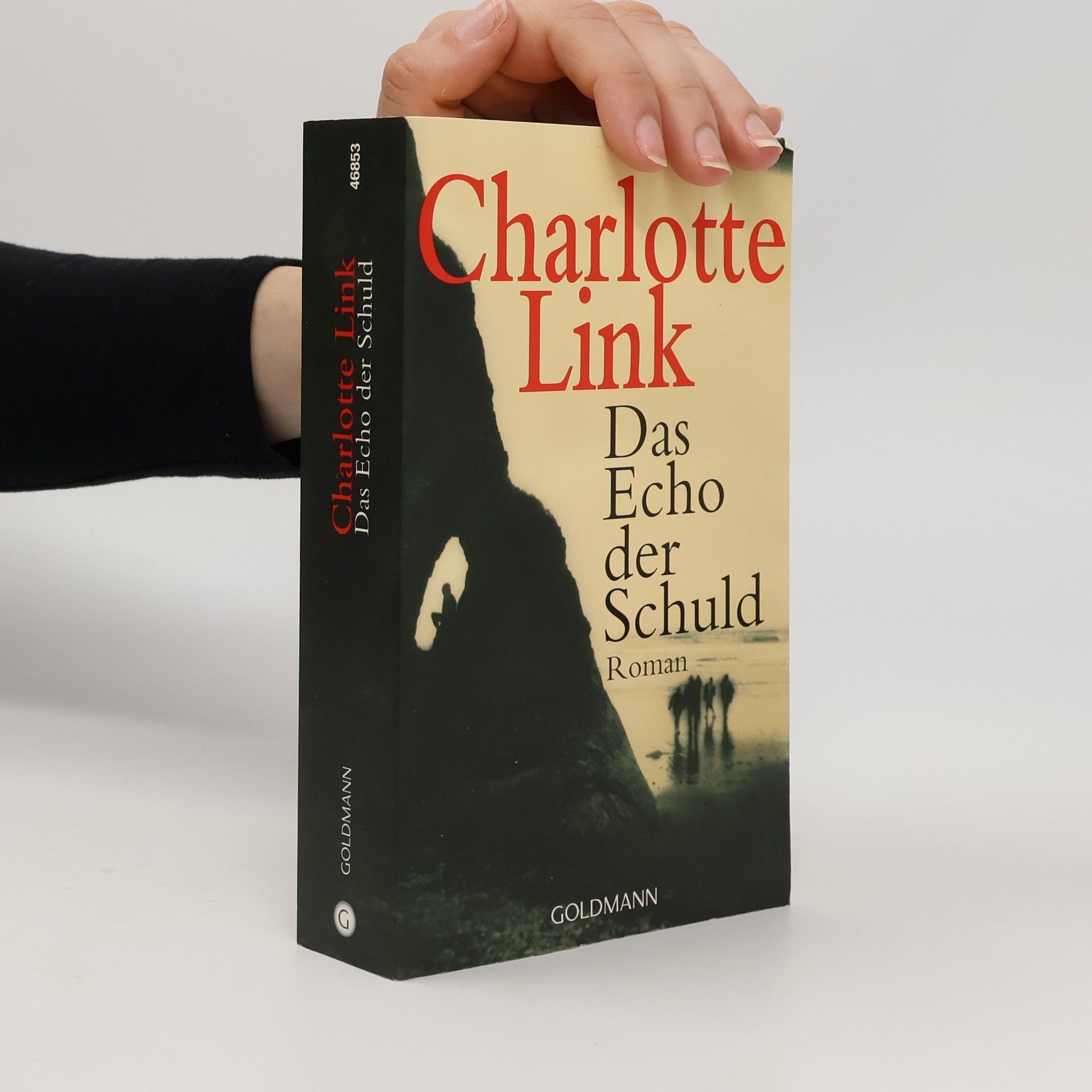 Charlotte Link Das Echo der Schuld