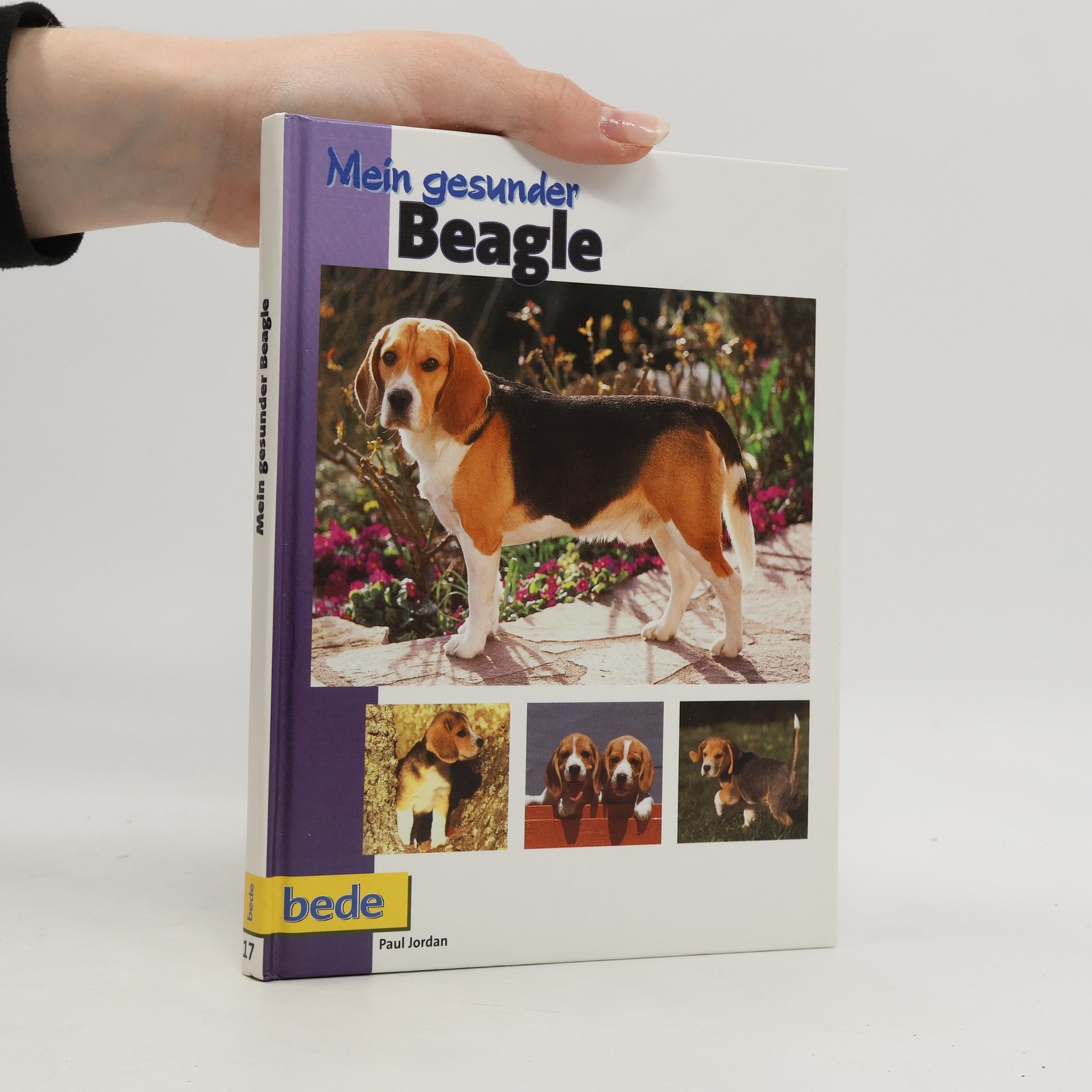 Paul Jordan Mein gesunder Beagle