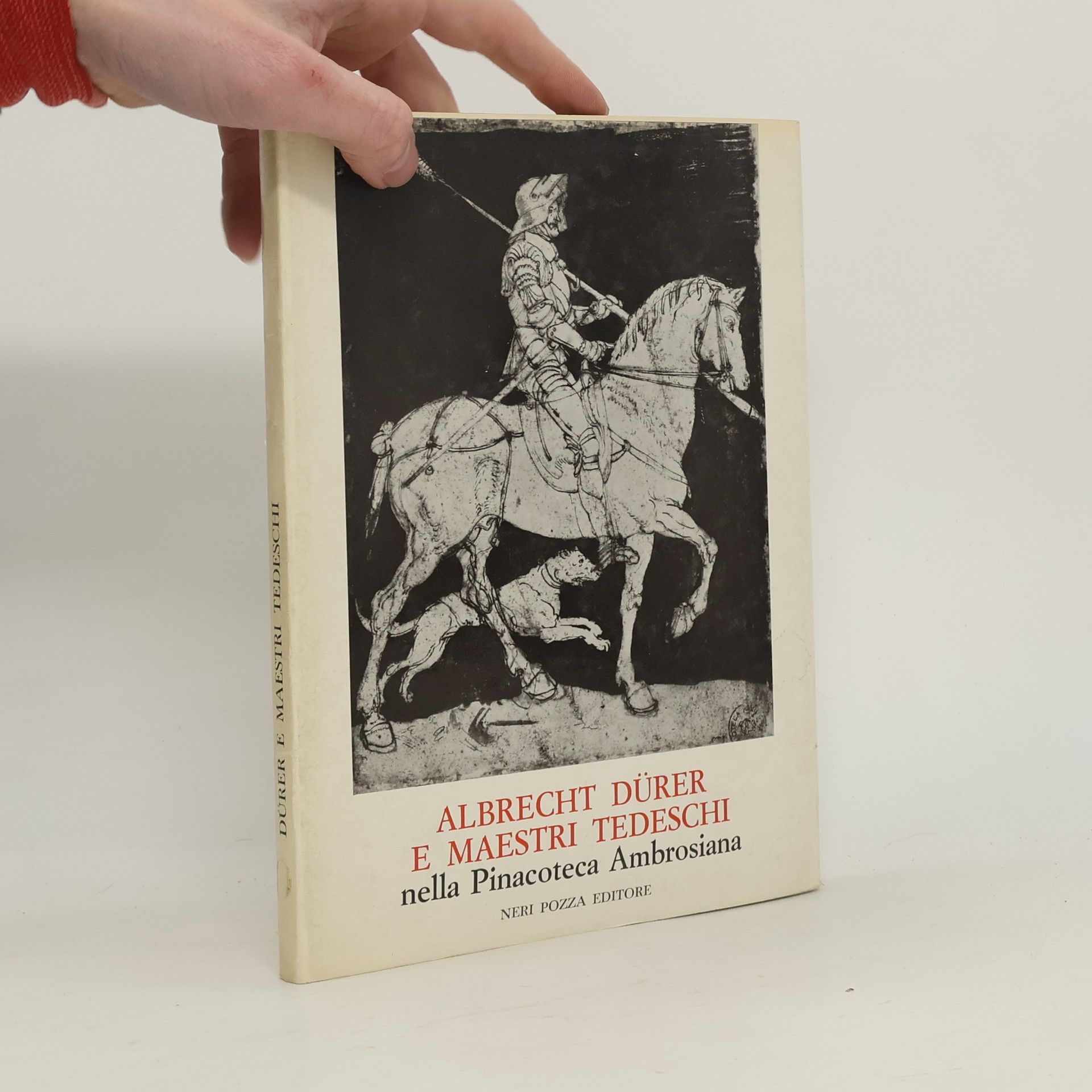Kolektiv autorů Albrecht Dürer e maestri tedeschi