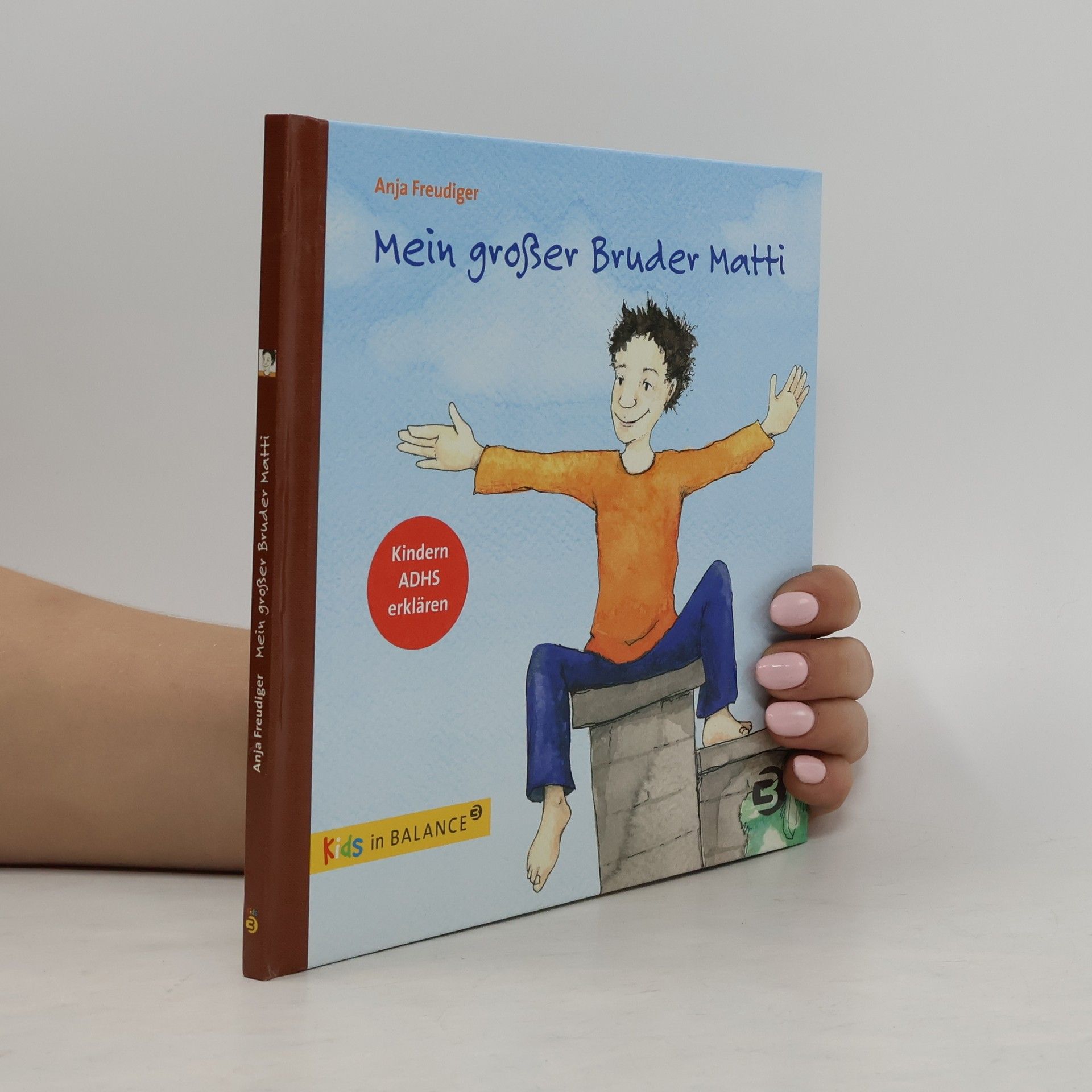 Anja Freudiger Mein großer Bruder Matti