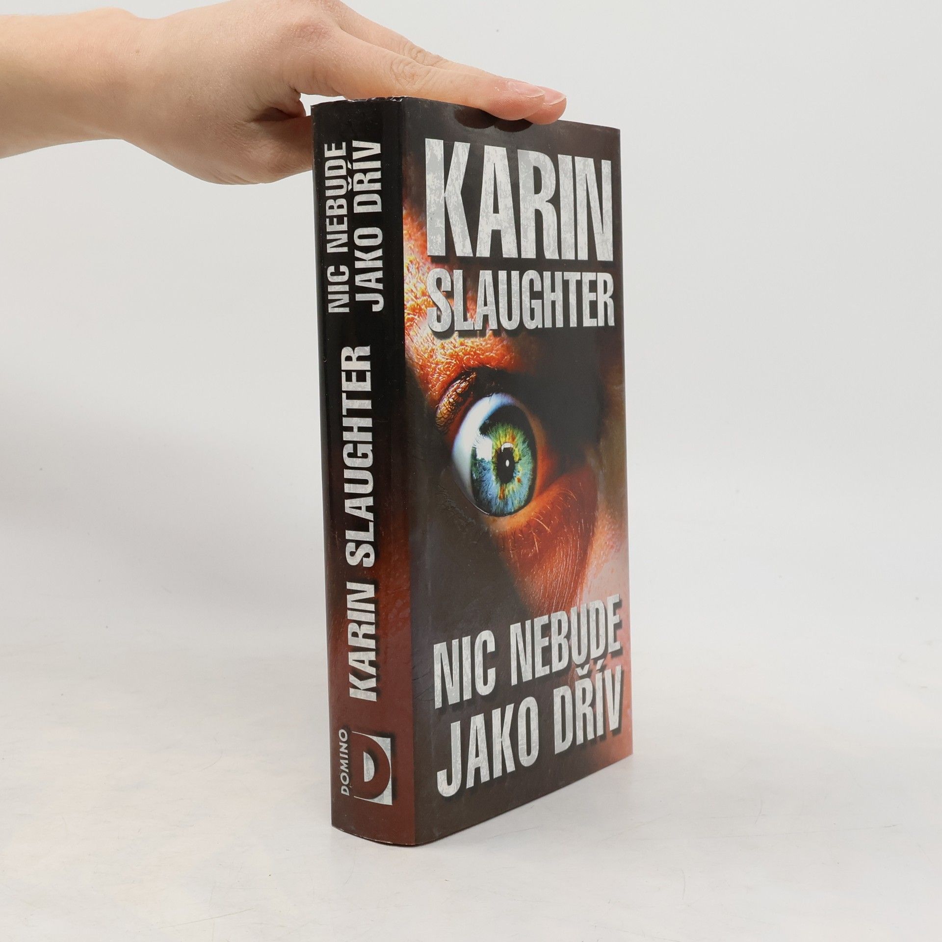 Karin Slaughter Nic nebude jako dřív
