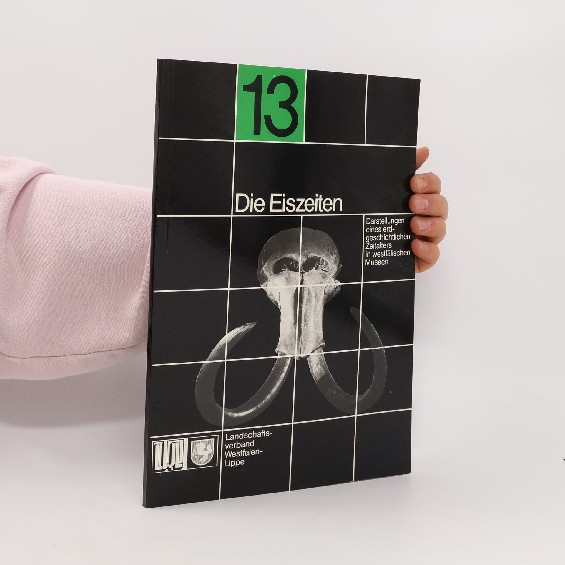 Autorenkollektiv Die Eiszeiten