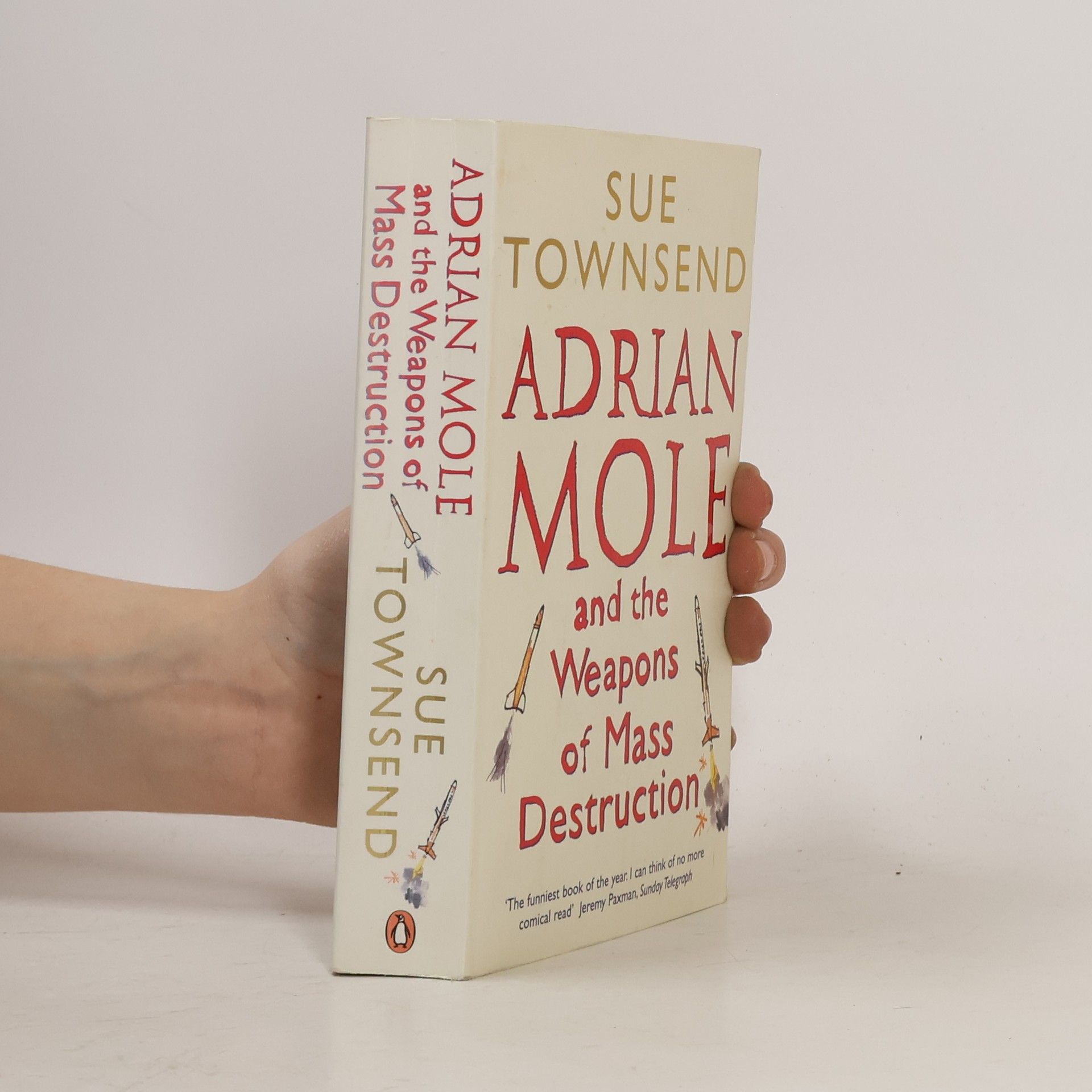 Sue Townsend Adrian Mole and the Weapons of Mass Destruction