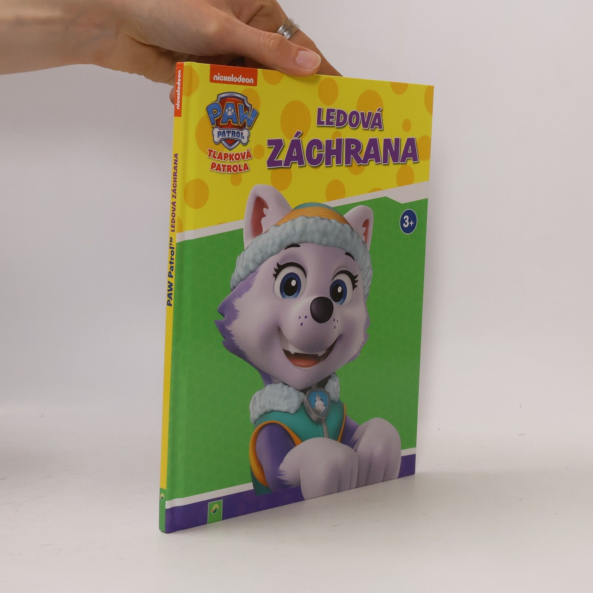 Kolektiv autorů Tlapková patrola. Ledová záchrana
