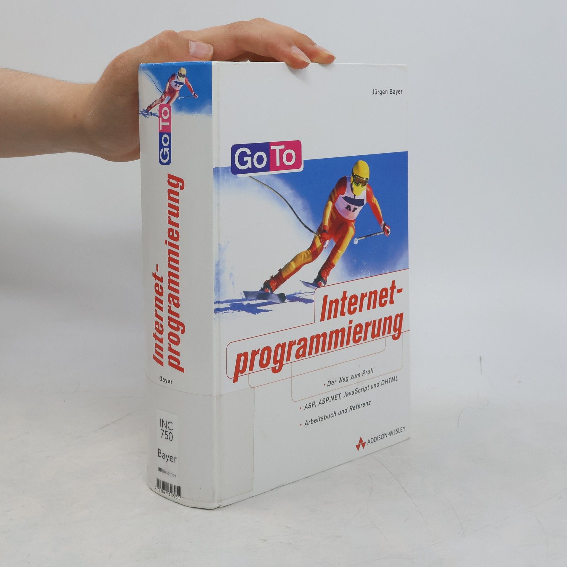Jürgen Bayer Go to Internetprogrammierung
