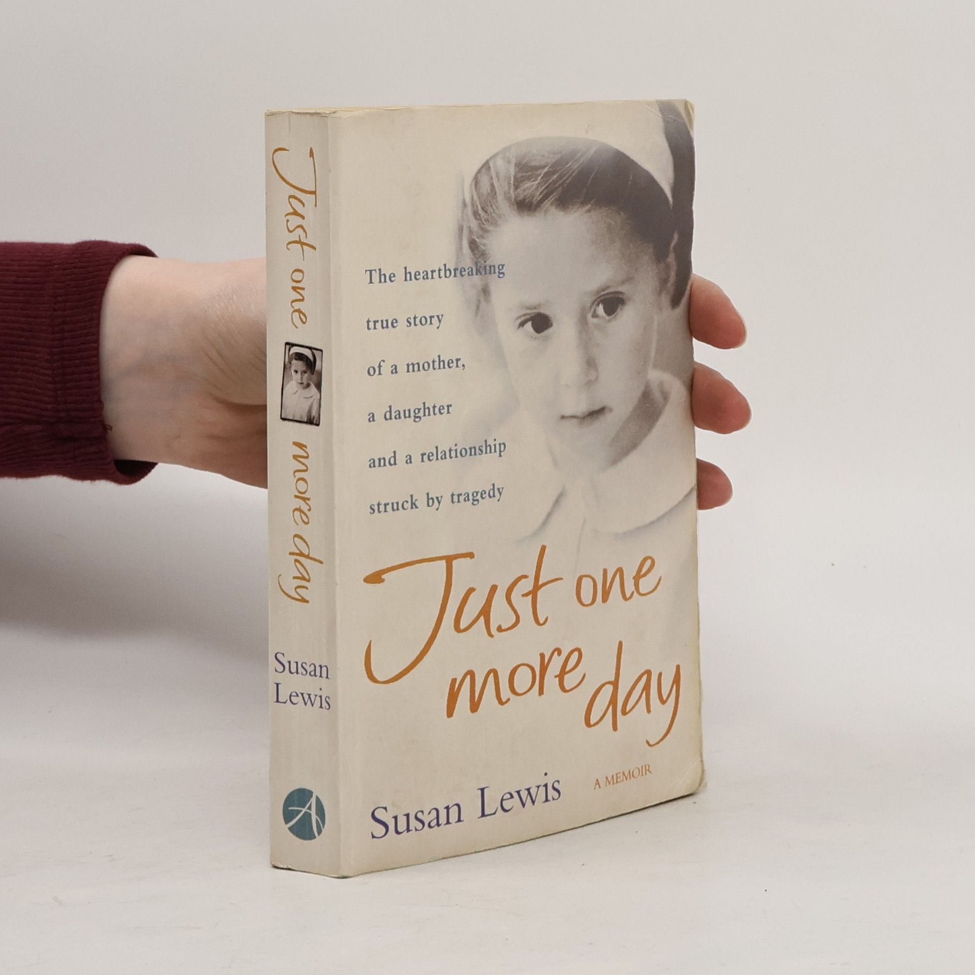 Susan Lewis Just one more day
