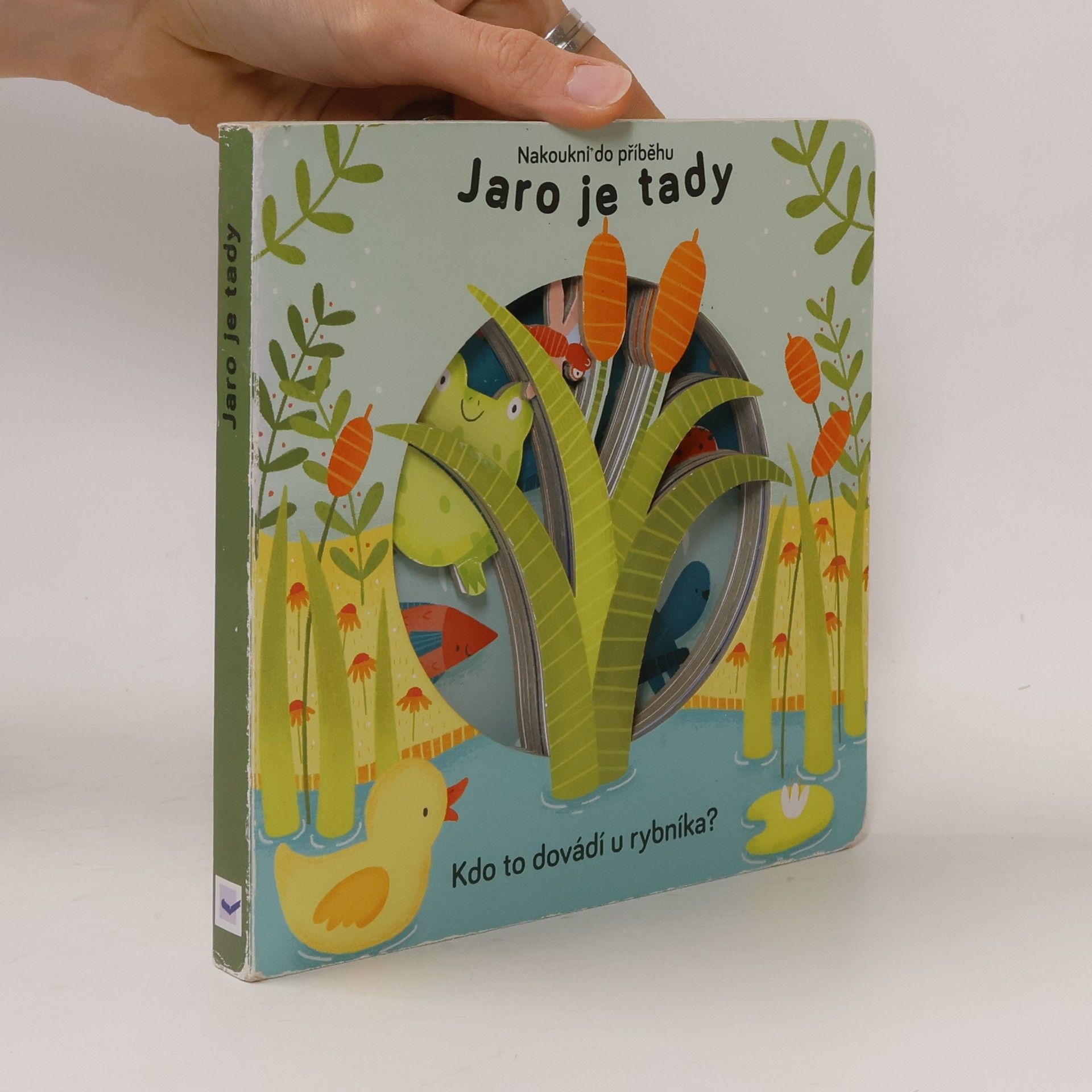 Anne Passchier Jaro je tady