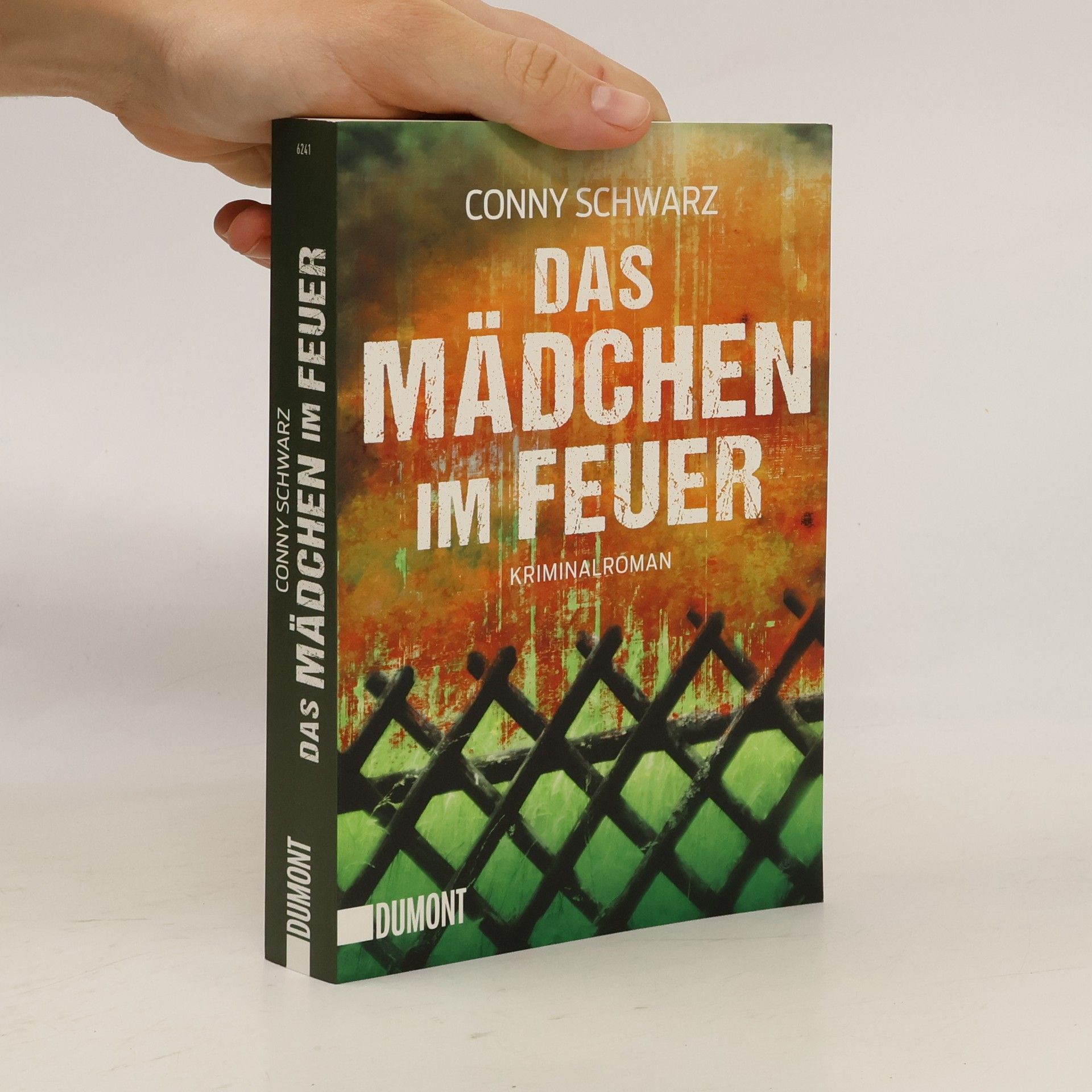 Conny Schwarz Das Mädchen im Feuer