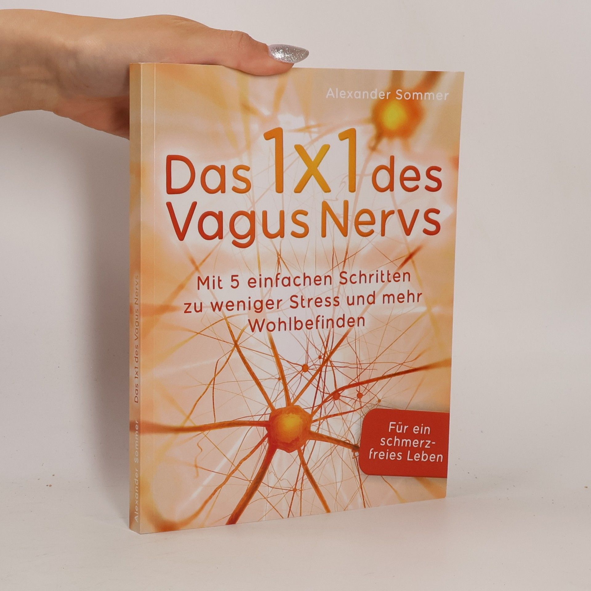 Das 1x1 des Vagus Nervs: Mit 5 einfachen Schritten zu weniger Stress und mehr Wohlbefinden