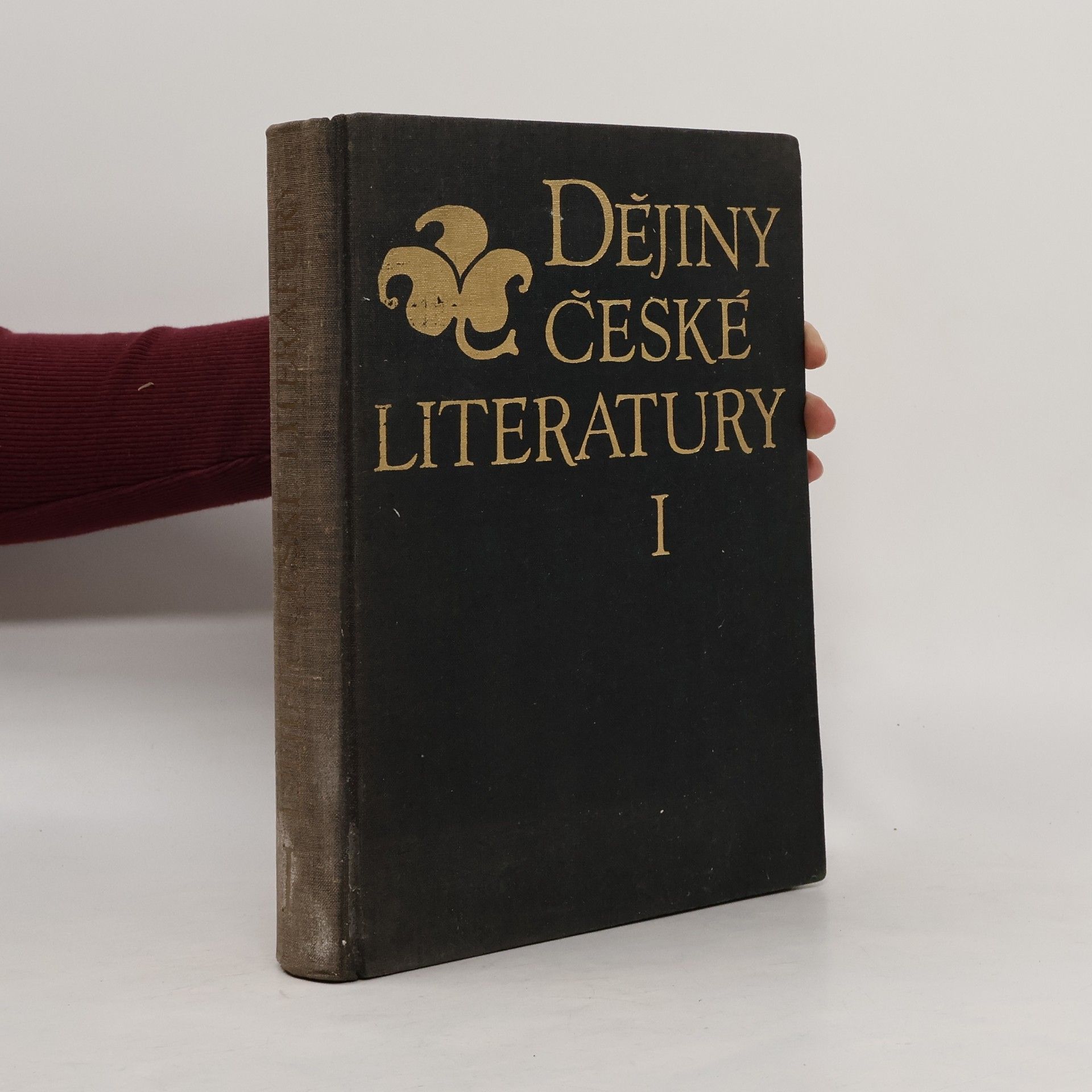 Collectif d'auteurs Dějiny české literatury I. díl