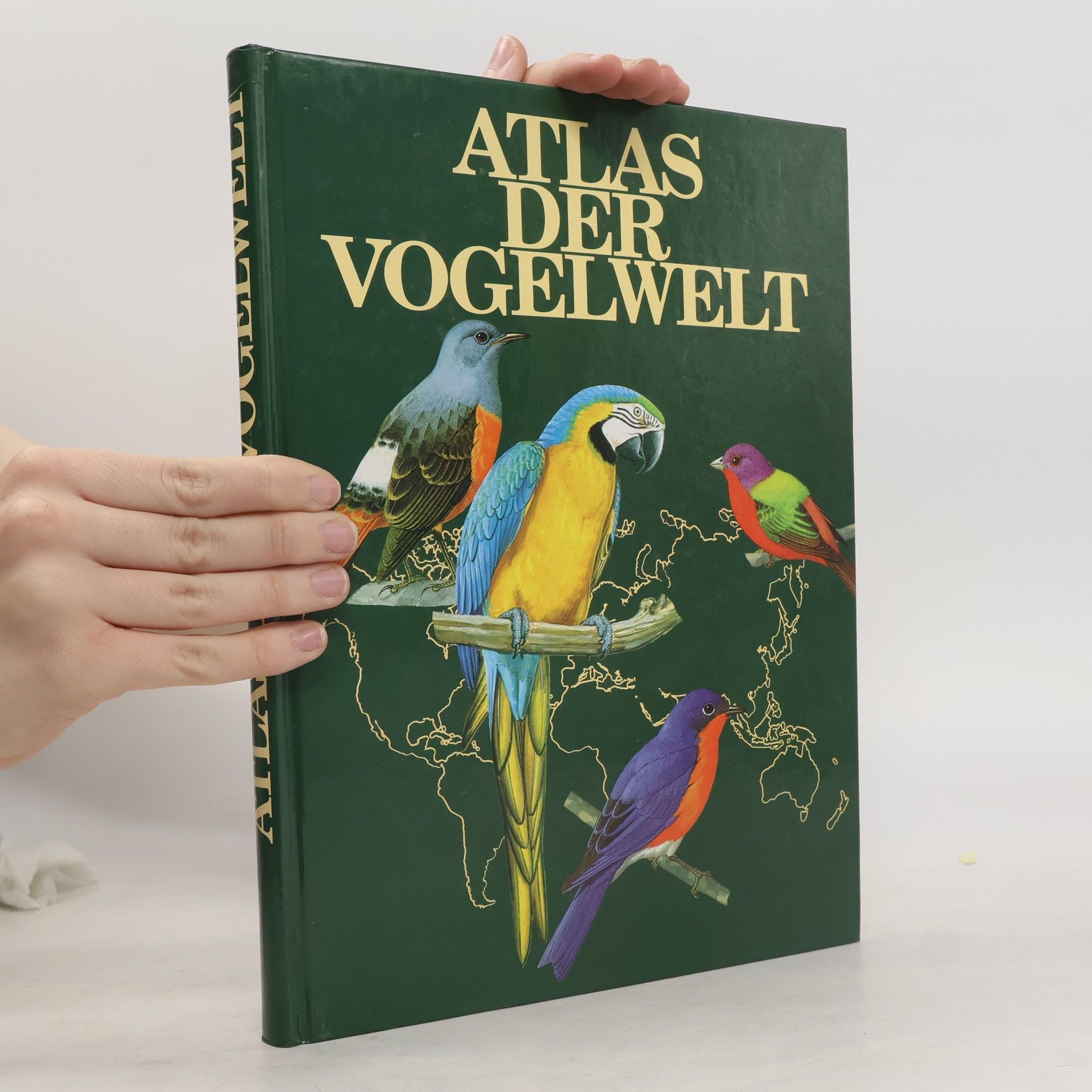 Goetz Rheinwald Atlas der Vogelwelt