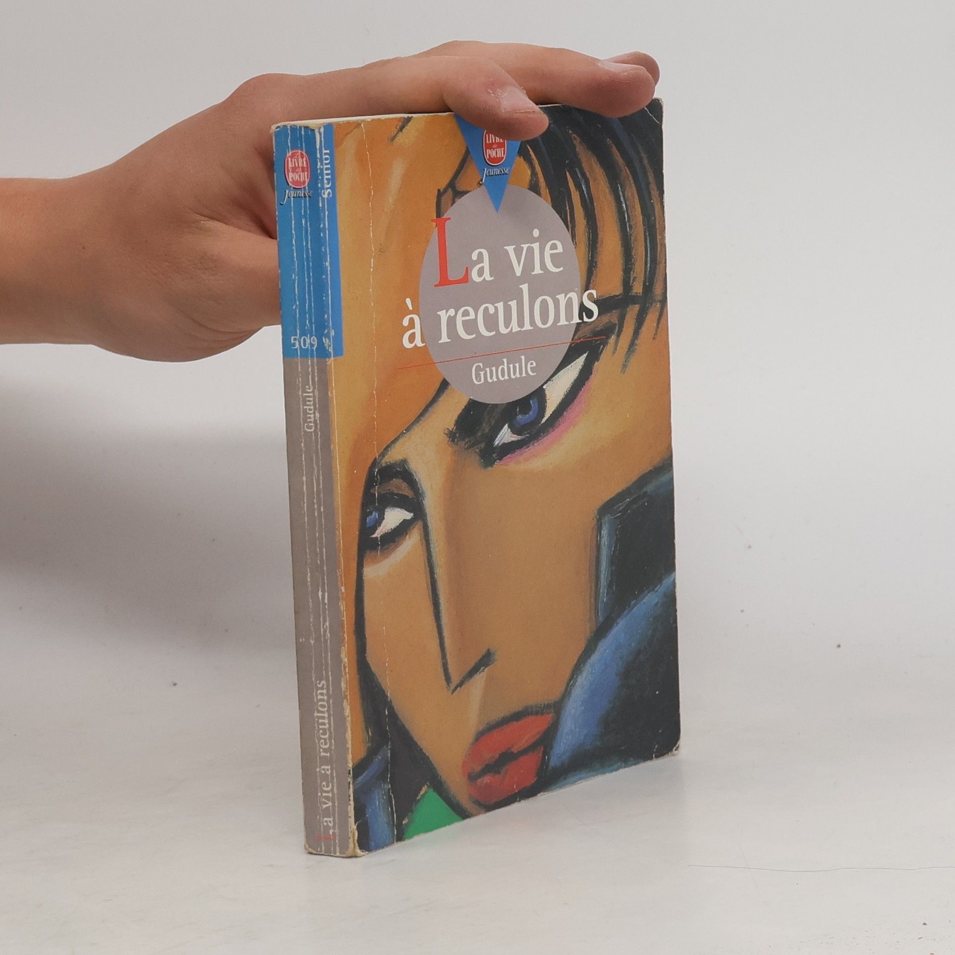 Robert Diet Livre Poche Jeunesse Senior - 509: La vie à reculons