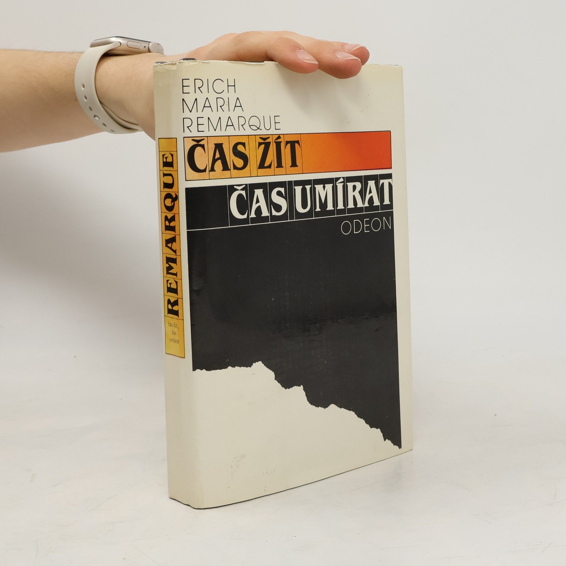 Erich Maria Remarque Čas žít, čas umírat