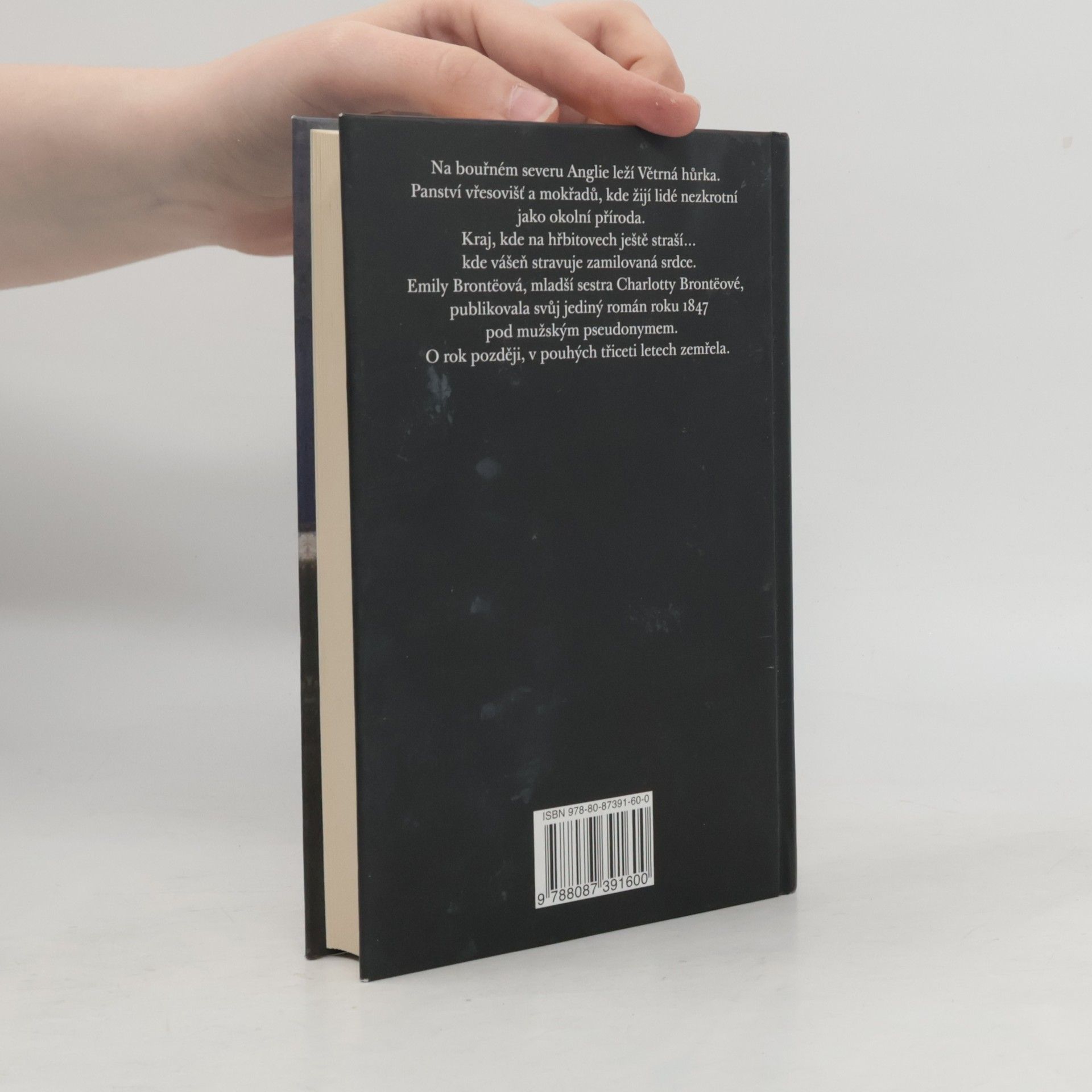 Emily Brontë Na větrné hůrce