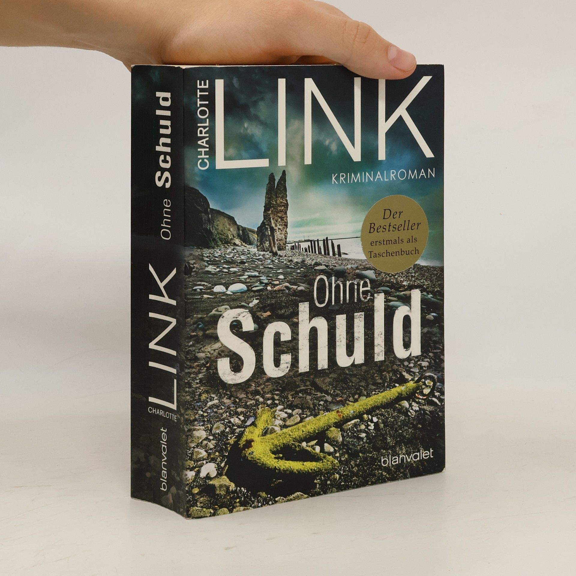 Charlotte Link Ohne Schuld