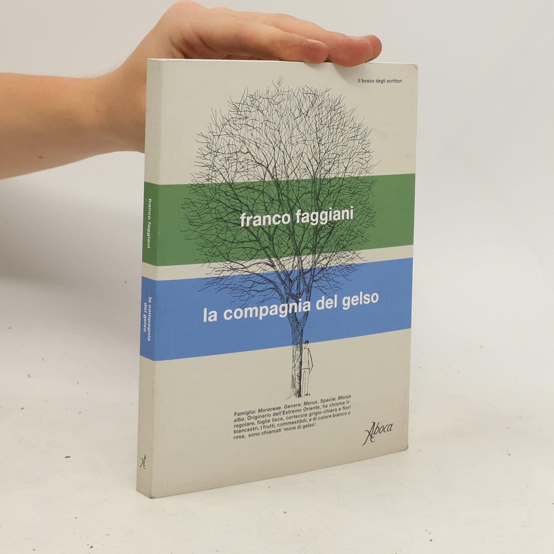 Franco Faggiani Il bosco degli scrittori: La compagnia del gelso