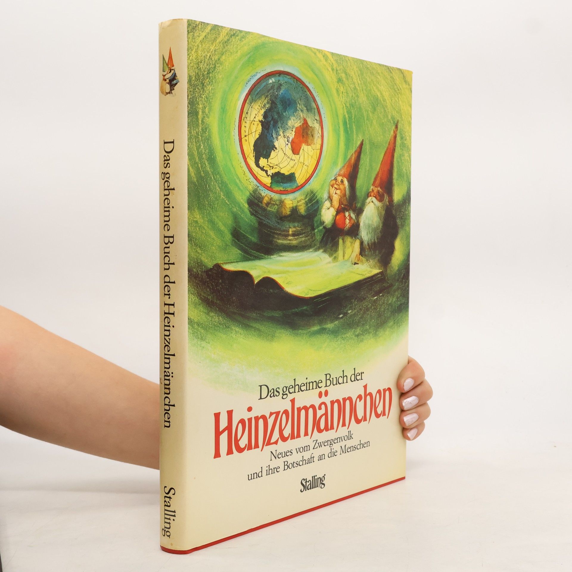 Kolektív autorov Das geheime Buch der Heinzelmännchen