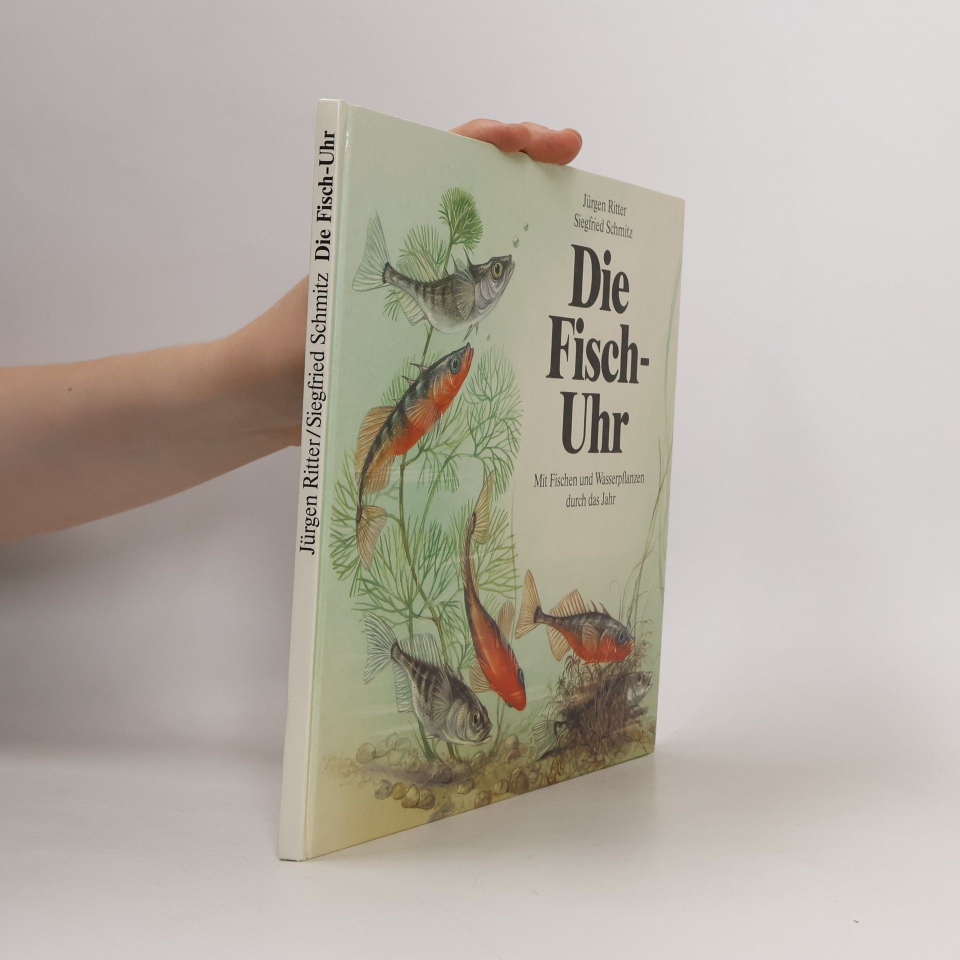 Die Fisch-Uhr