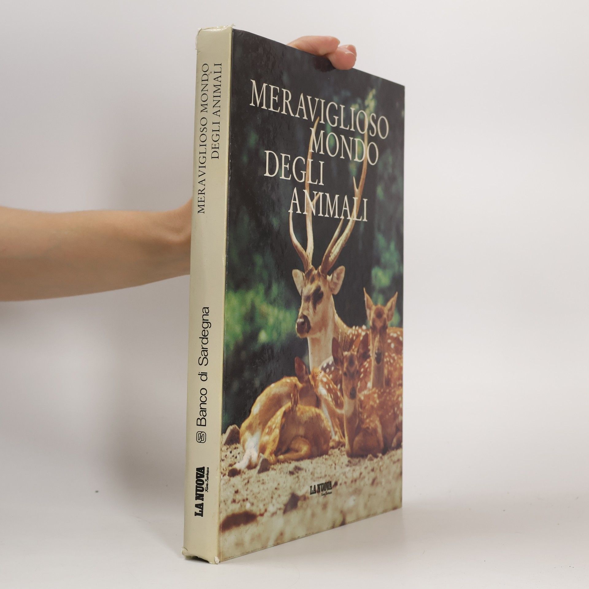 Collectif d'auteurs Meraviglioso mondo degli animali
