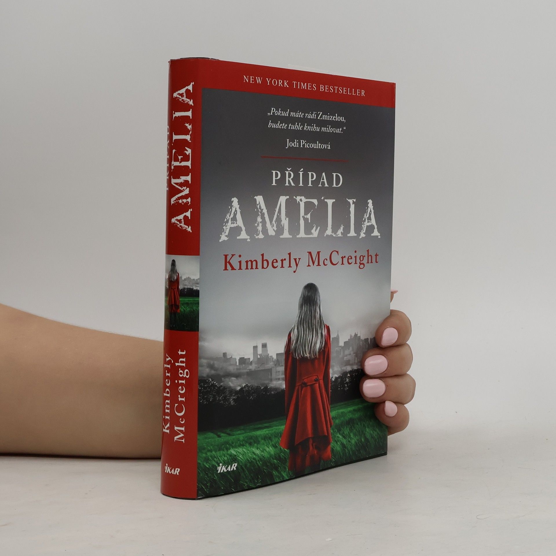 Kimberly McCreight Případ Amelia