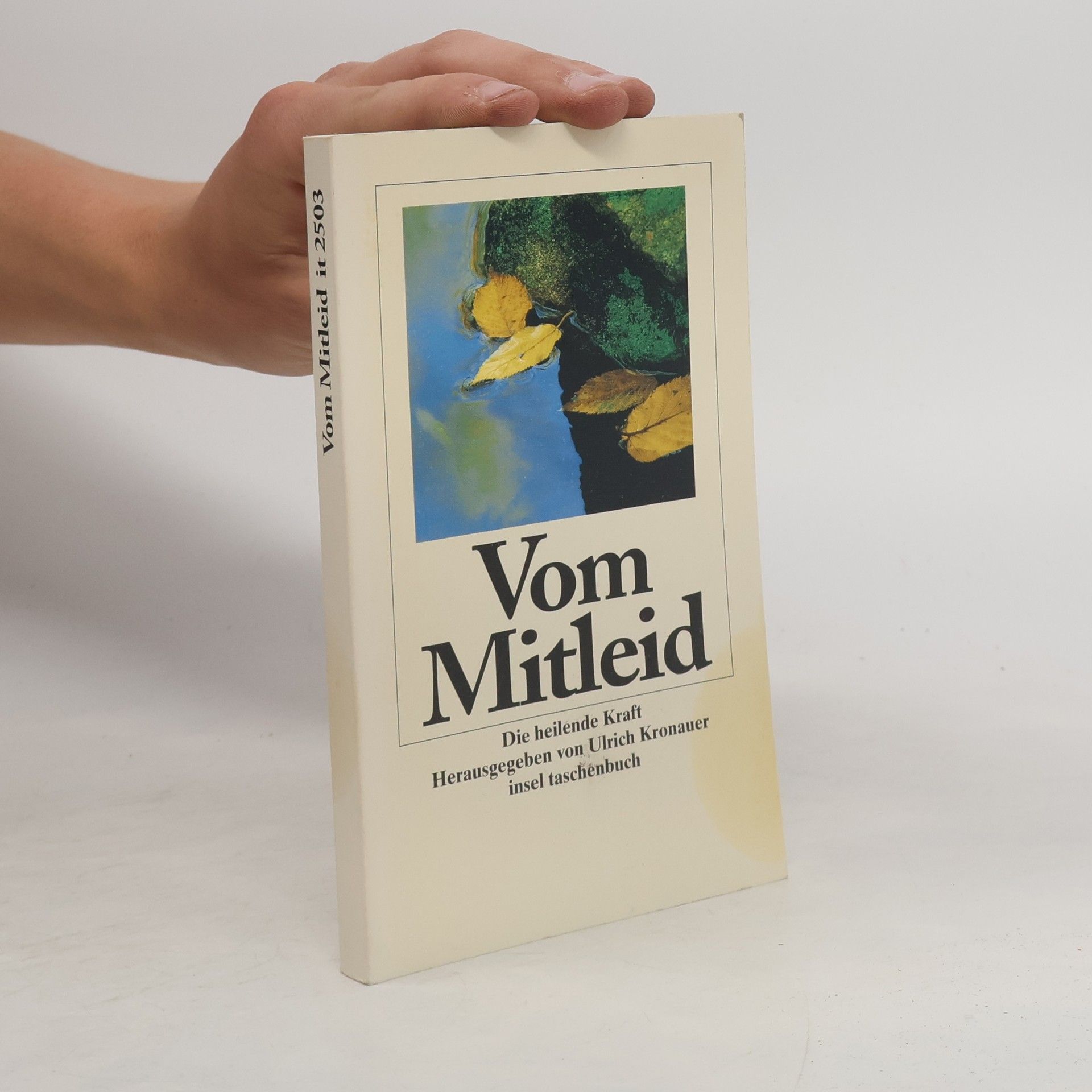 Ulrich Kronauer Vom Mitleid