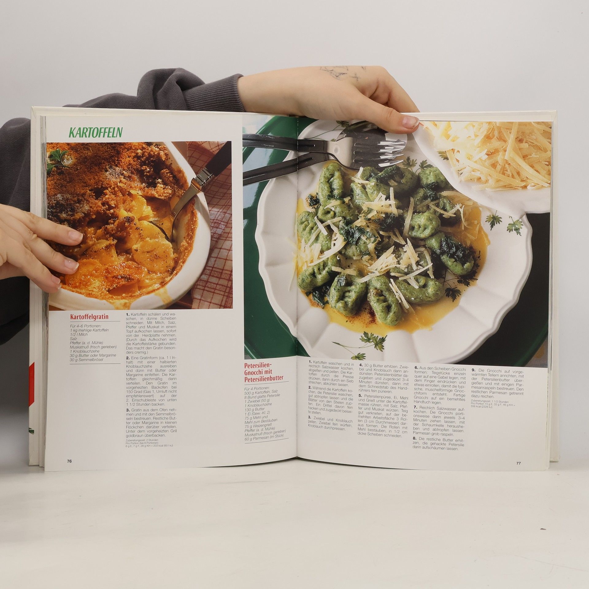 Hilmar Döring Das grosse Buch der vegetarischen Küche