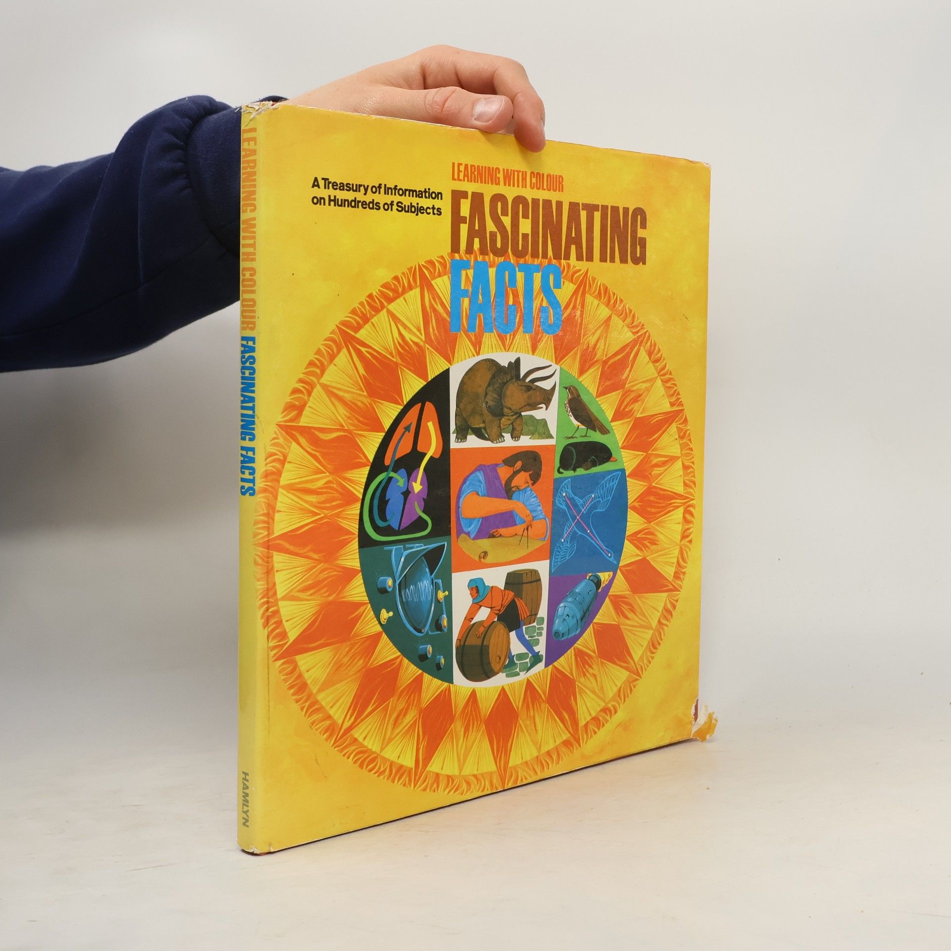 Learning With Colour: Fascinating Facts