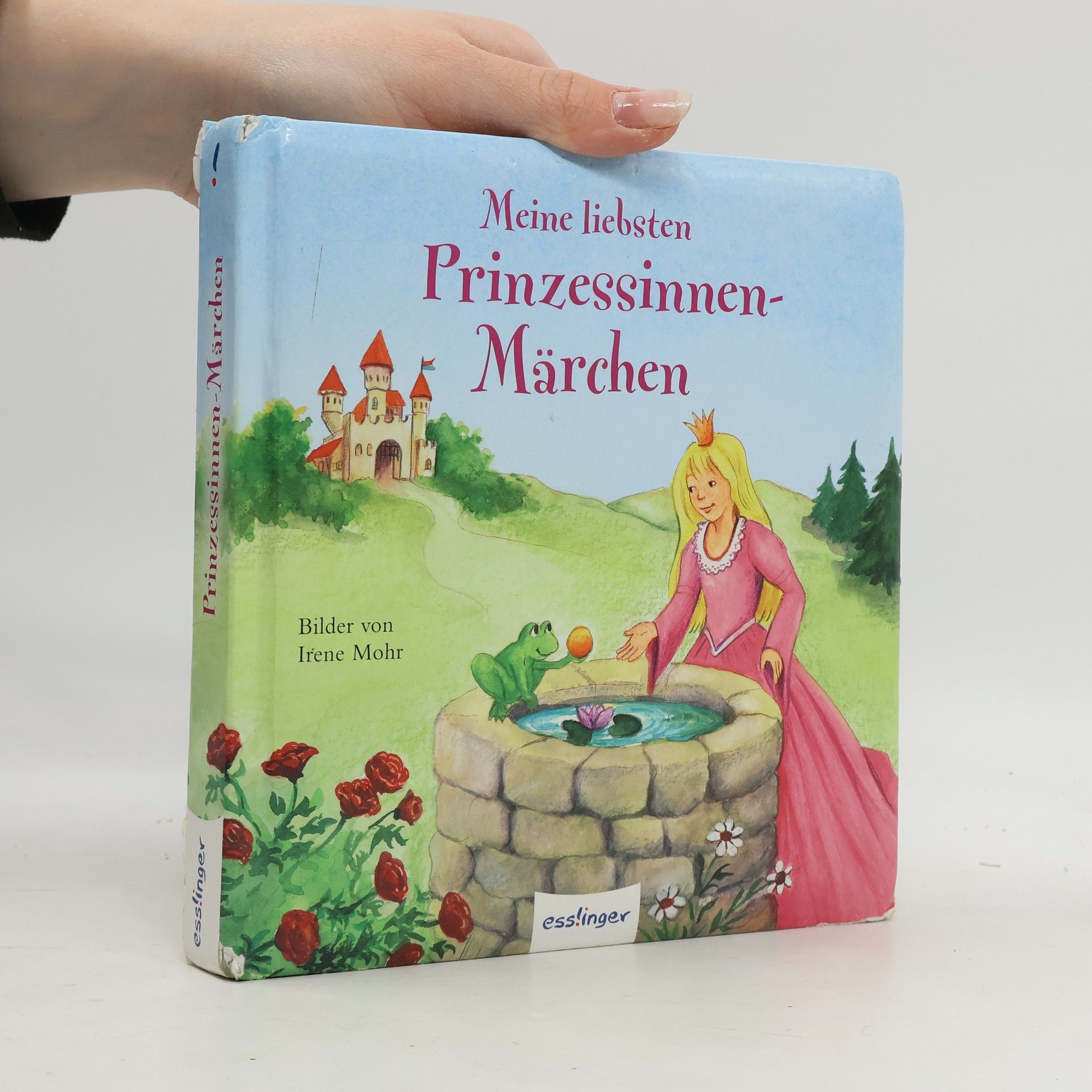 Annegret Hägele Meine liebsten Prinzessinnen-Märchen