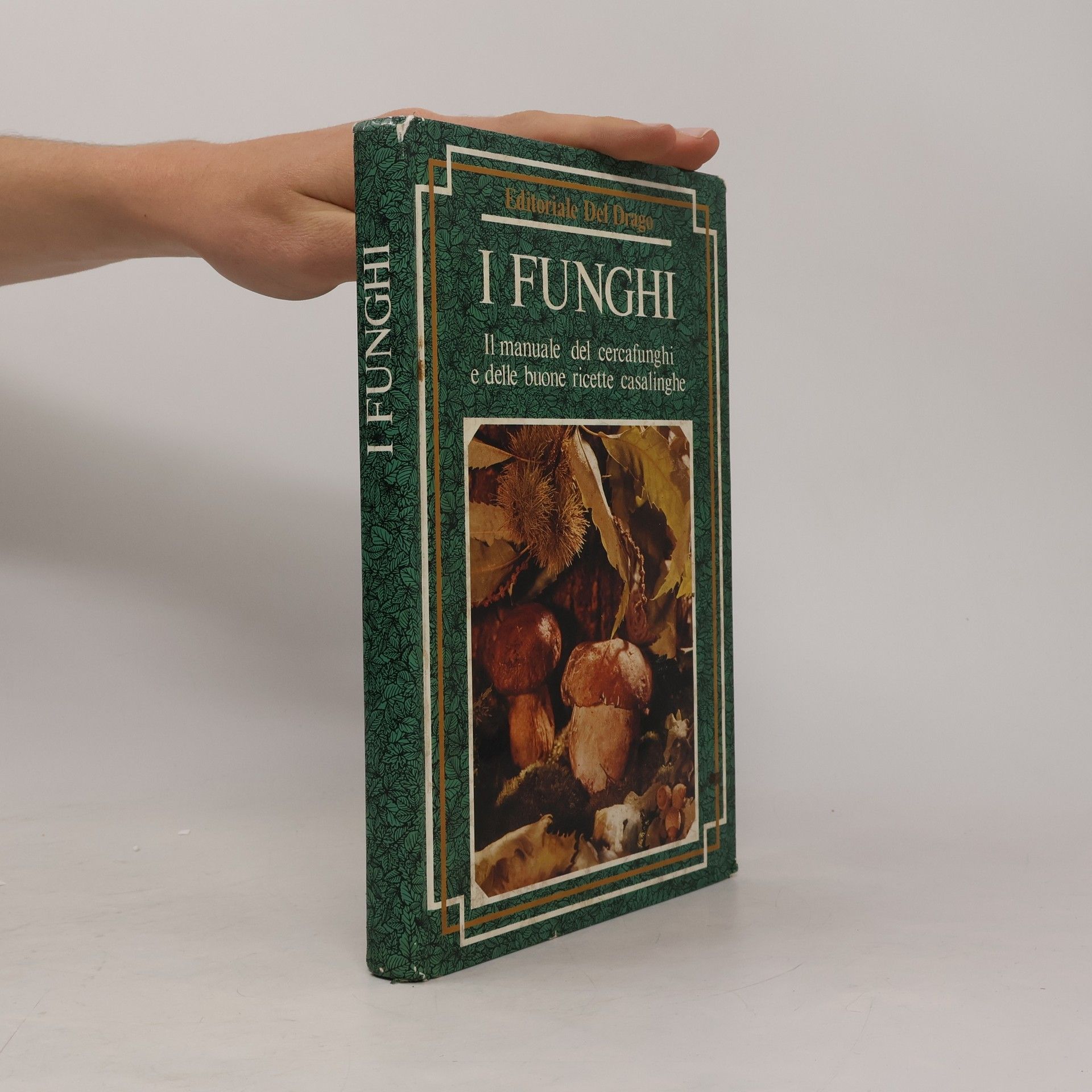 Auteurscollectief I Funghi