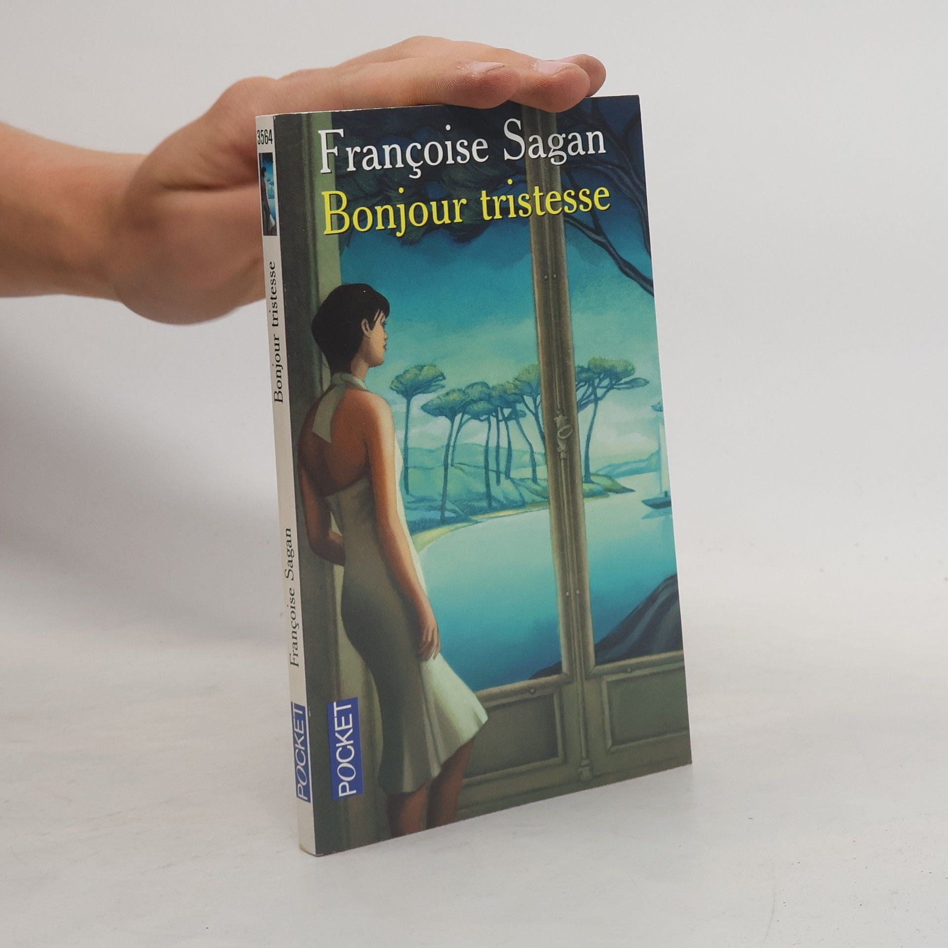 Françoise Sagan Bonjour tristesse