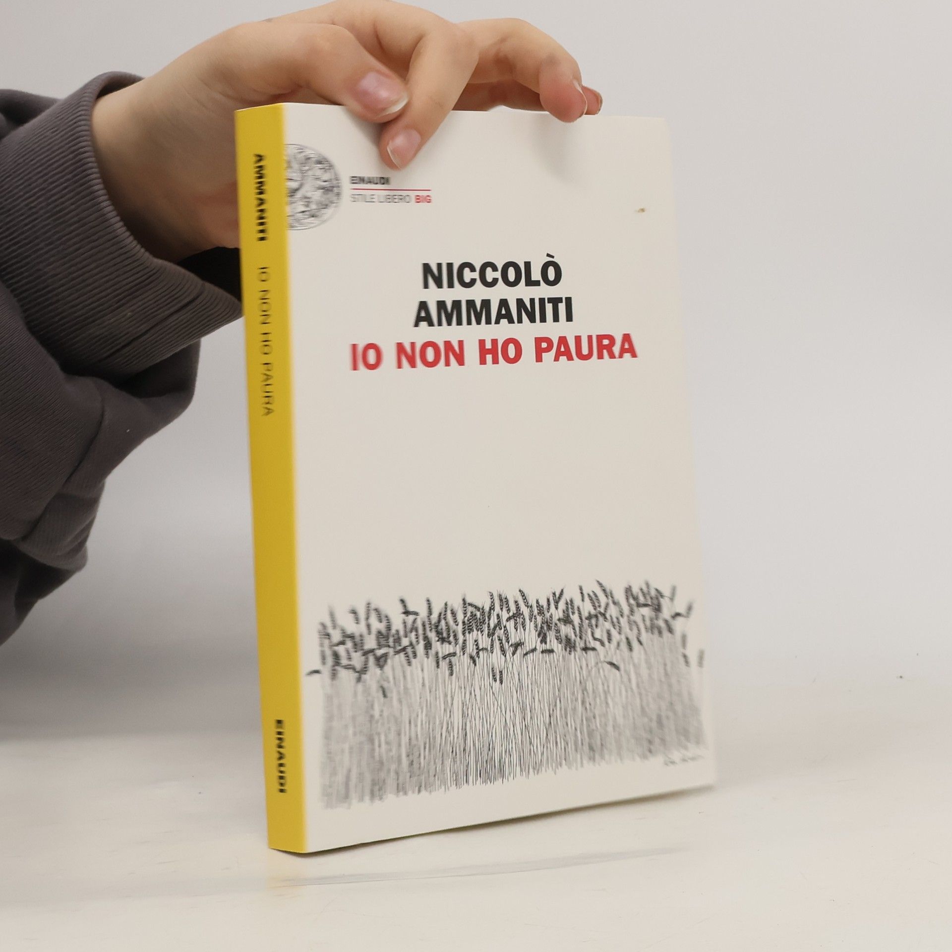 Niccolò Ammaniti Io non ho paura