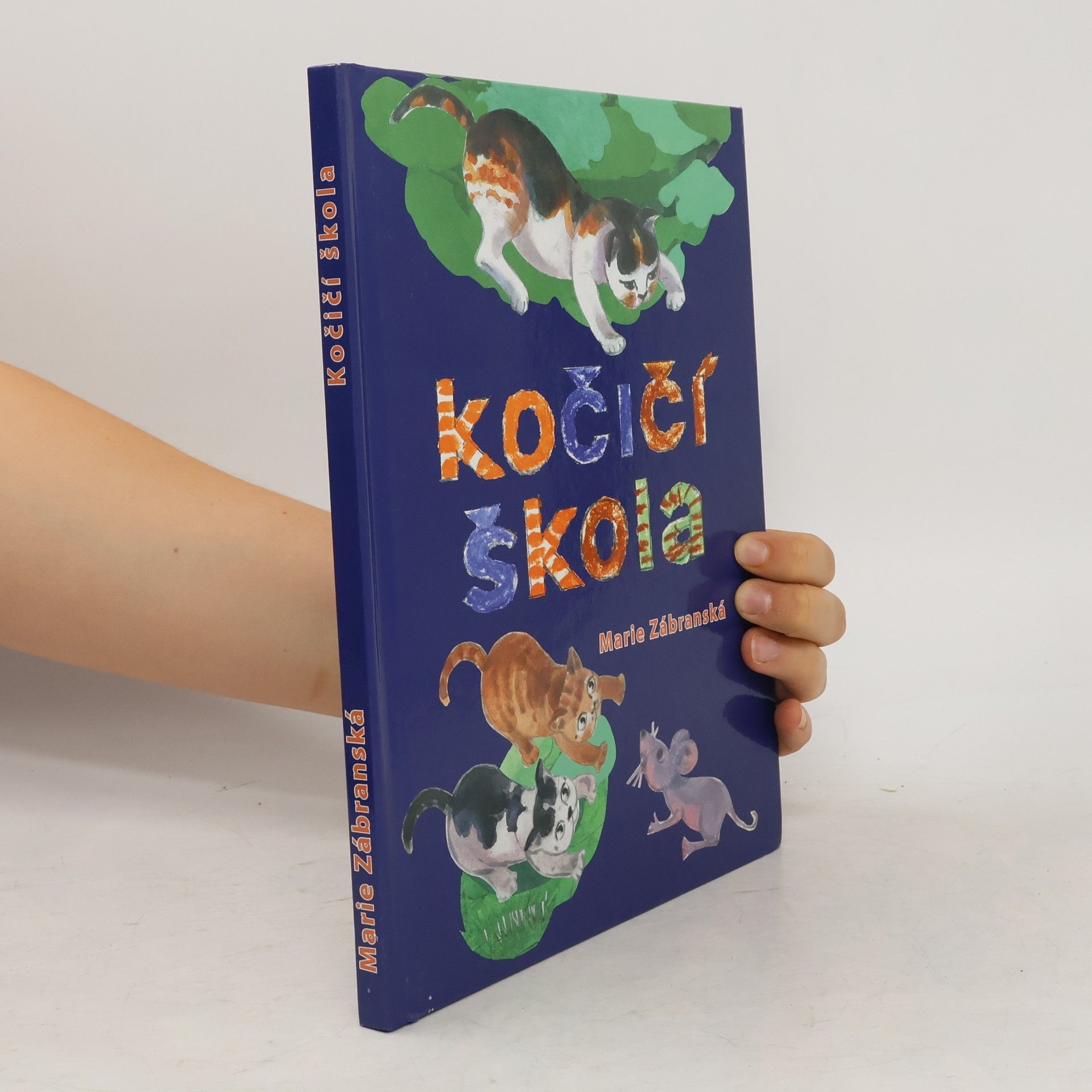 Kočičí škola