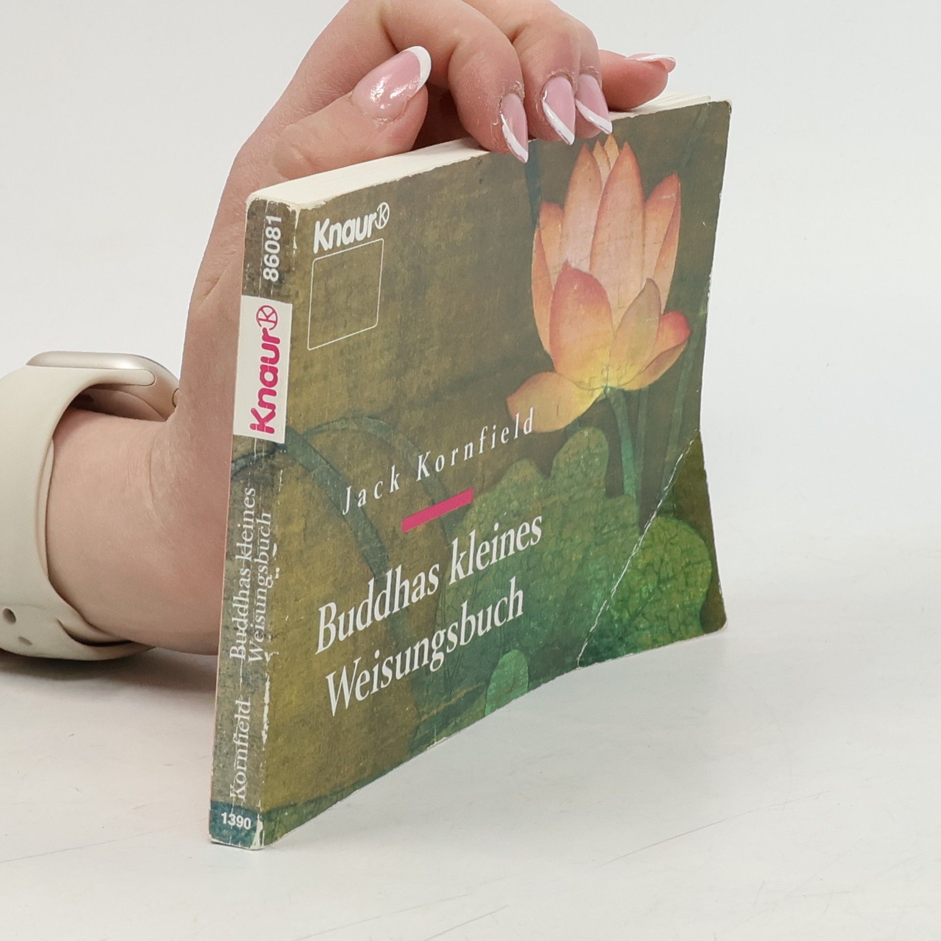 Jack Kornfield Buddhas kleines Weisungsbuch