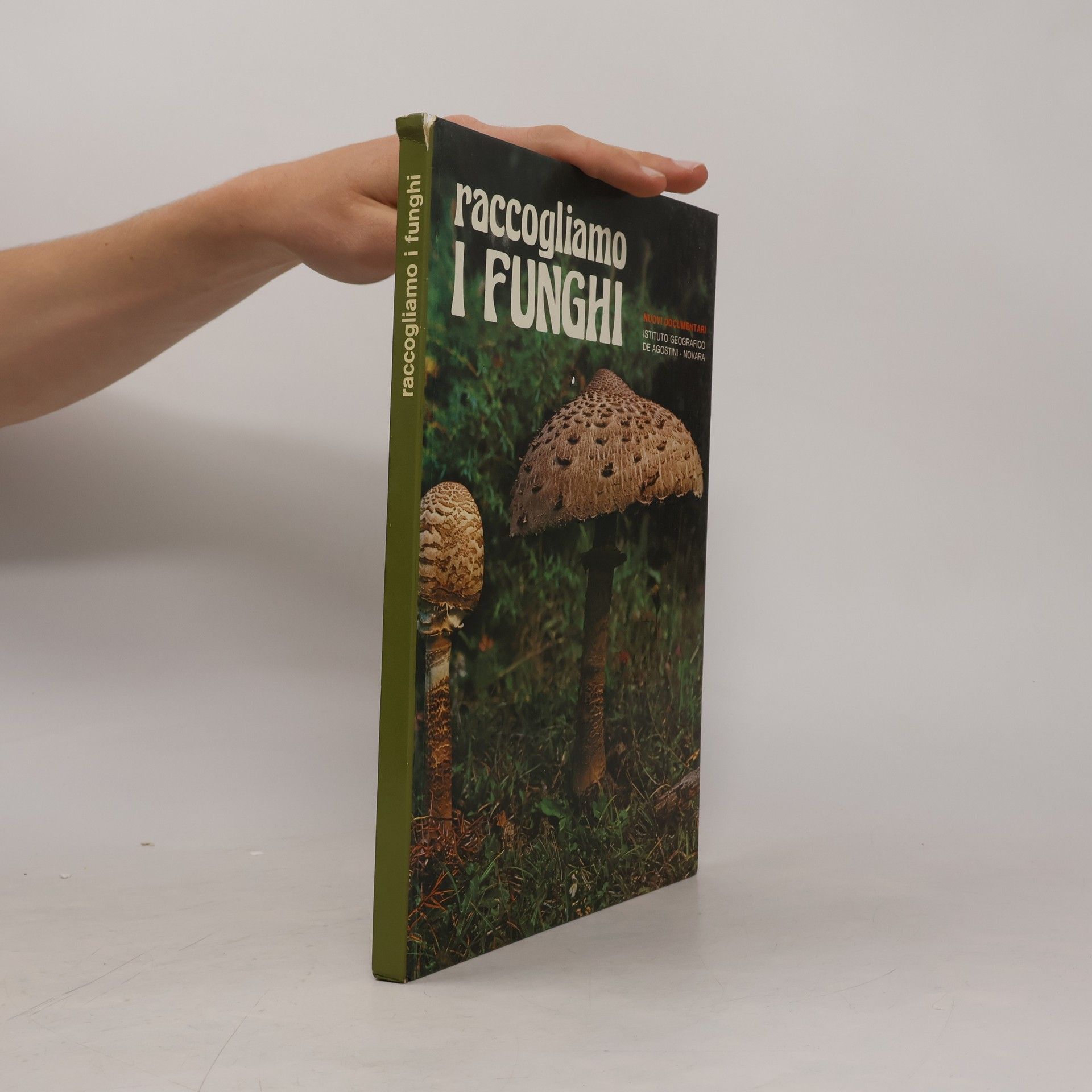 Uberto Tosco Raccogliamo i funghi
