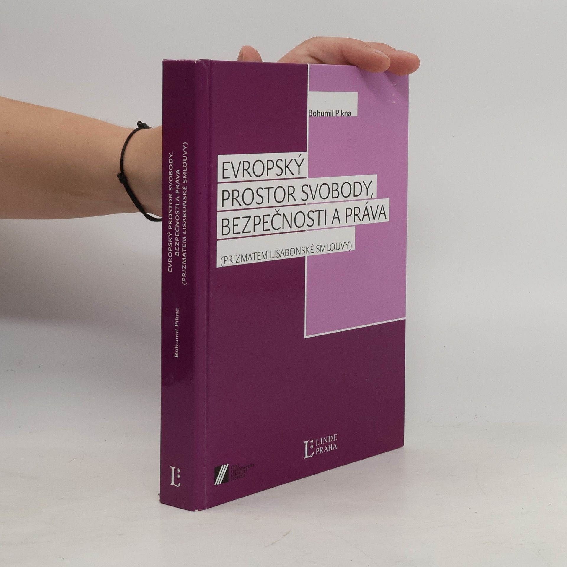 Bohumil Pikna Evropský prostor svobody, bezpečnosti a práva