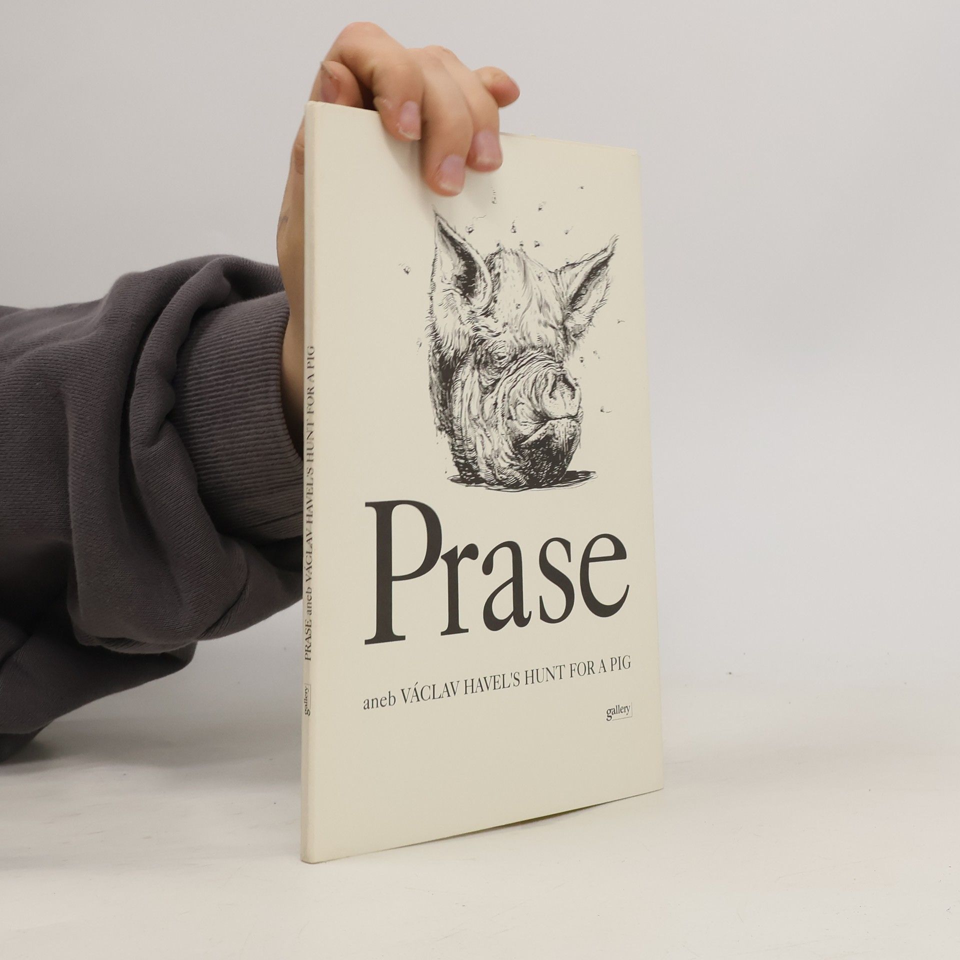 Auteurscollectief Prase, aneb, Václav Havel's Hunt for a Pig