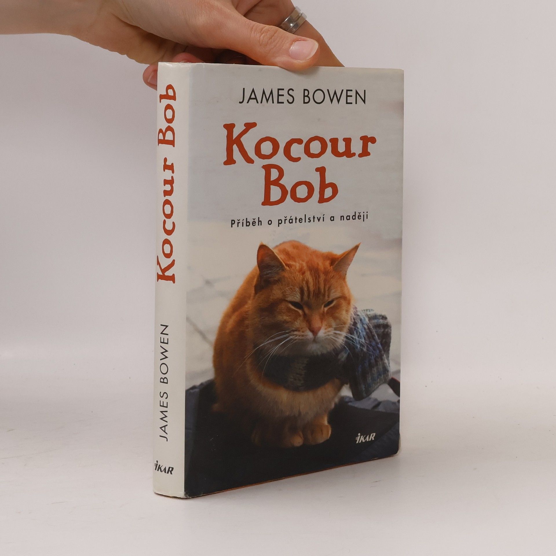 James Bowen Kocour Bob