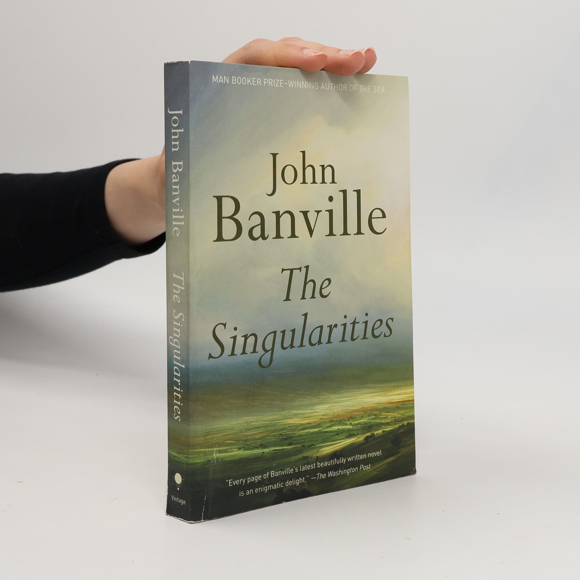 John Banville The Singularities