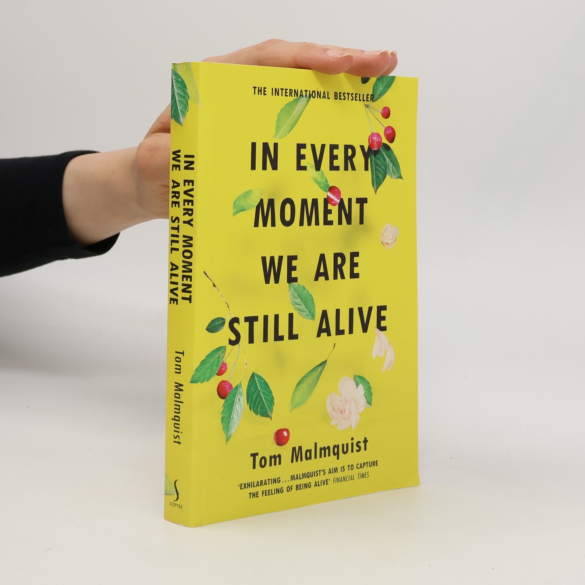 Tom Malmquist In Every Moment We Are Still Alive