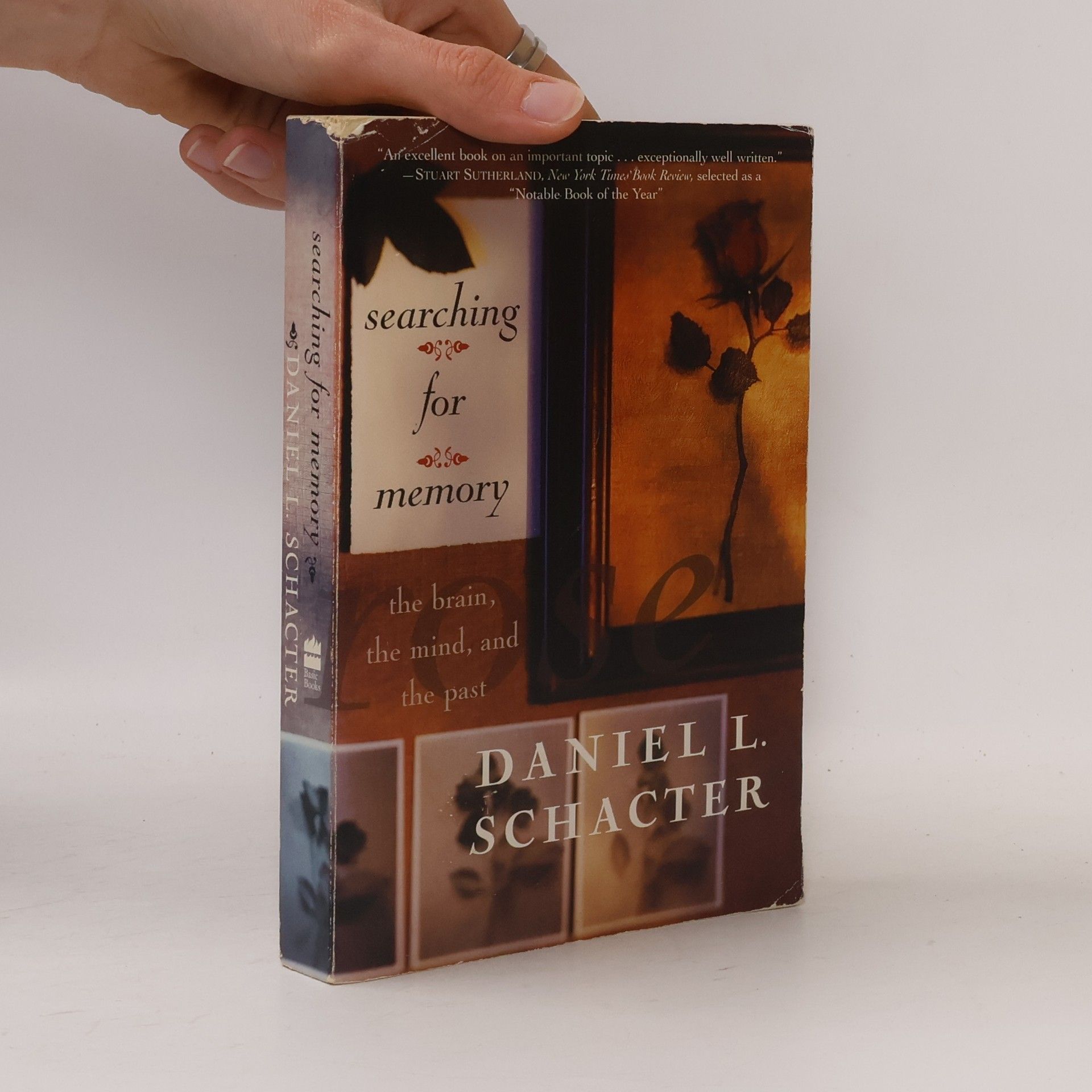 Daniel Schacter Searching For Memory